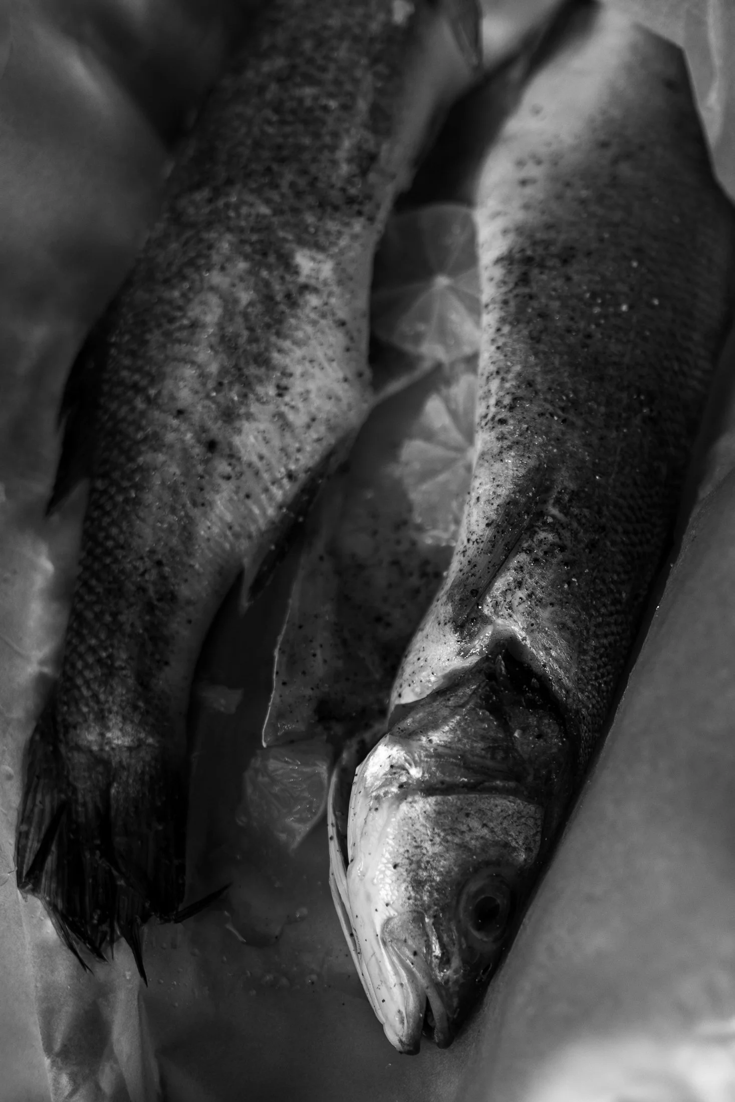 hinterhideout, a rental property in Sutton, Quebec-007.jpg