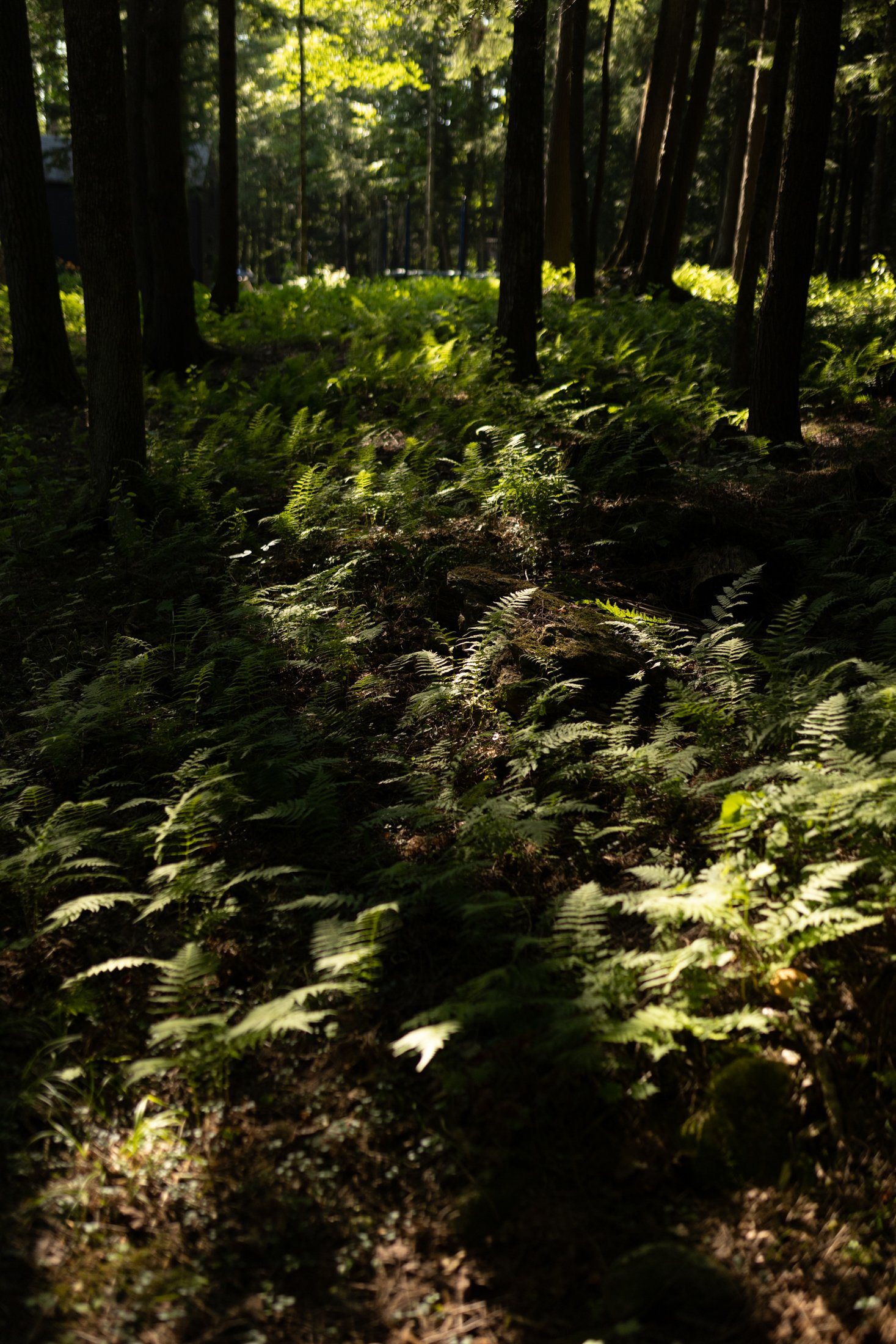 hinterhideout, a rental property in Sutton, Quebec-179.jpg