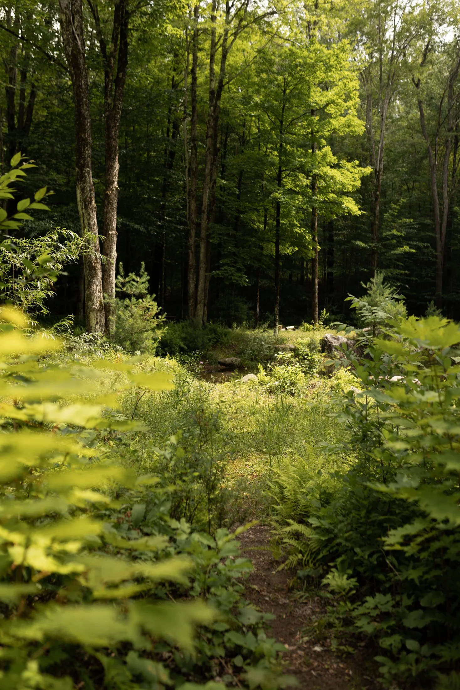 hinterhideout, a rental property in Sutton, Quebec-063.jpg