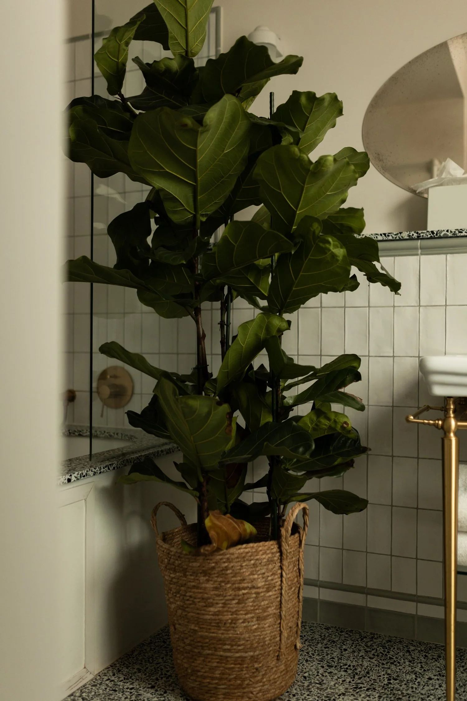 Hotel Monte Cristo in Paris, an homage to Alexandre Dumas-053.jpg