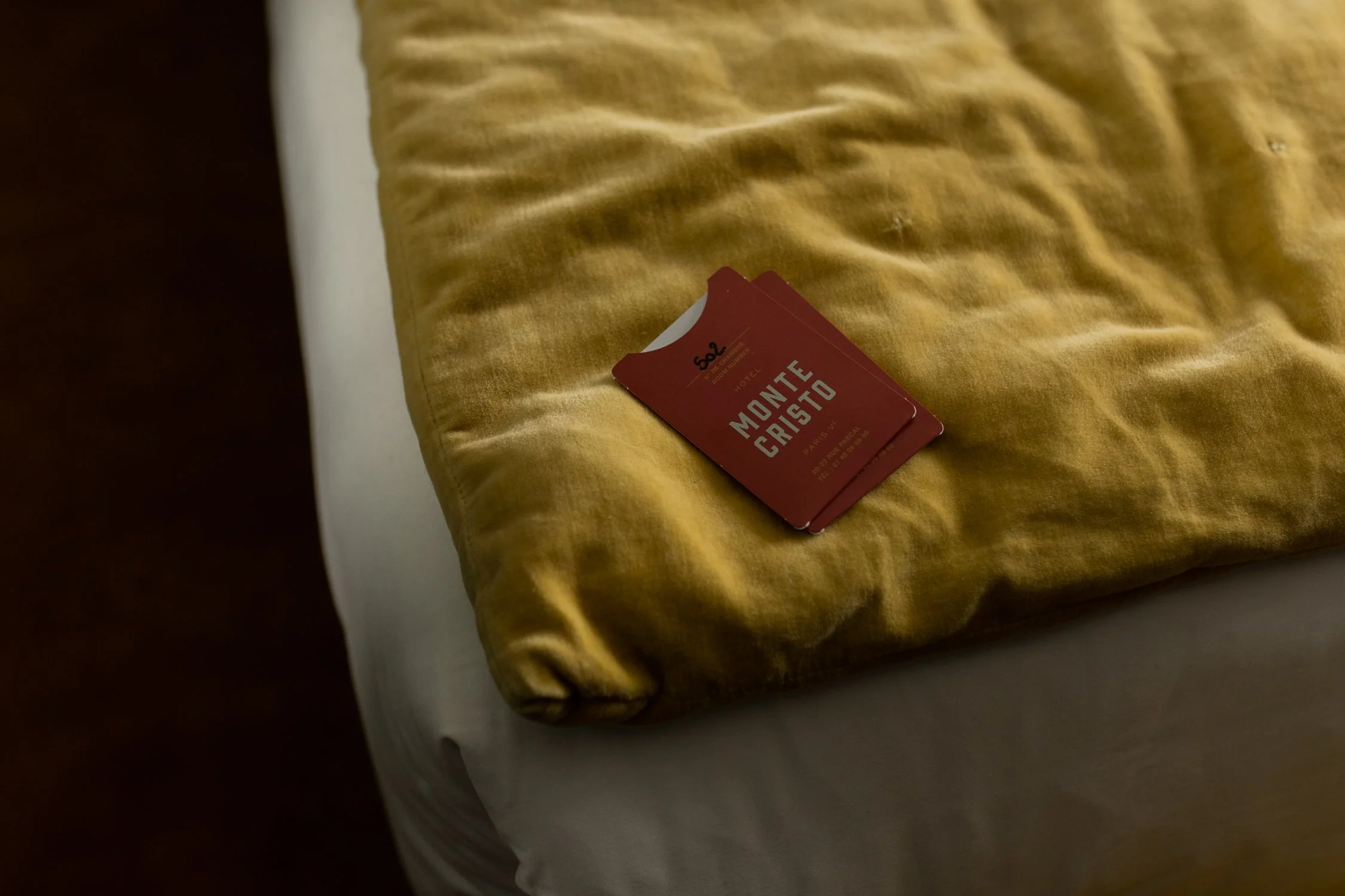 Hotel Monte Cristo in Paris, an homage to Alexandre Dumas-068.jpg