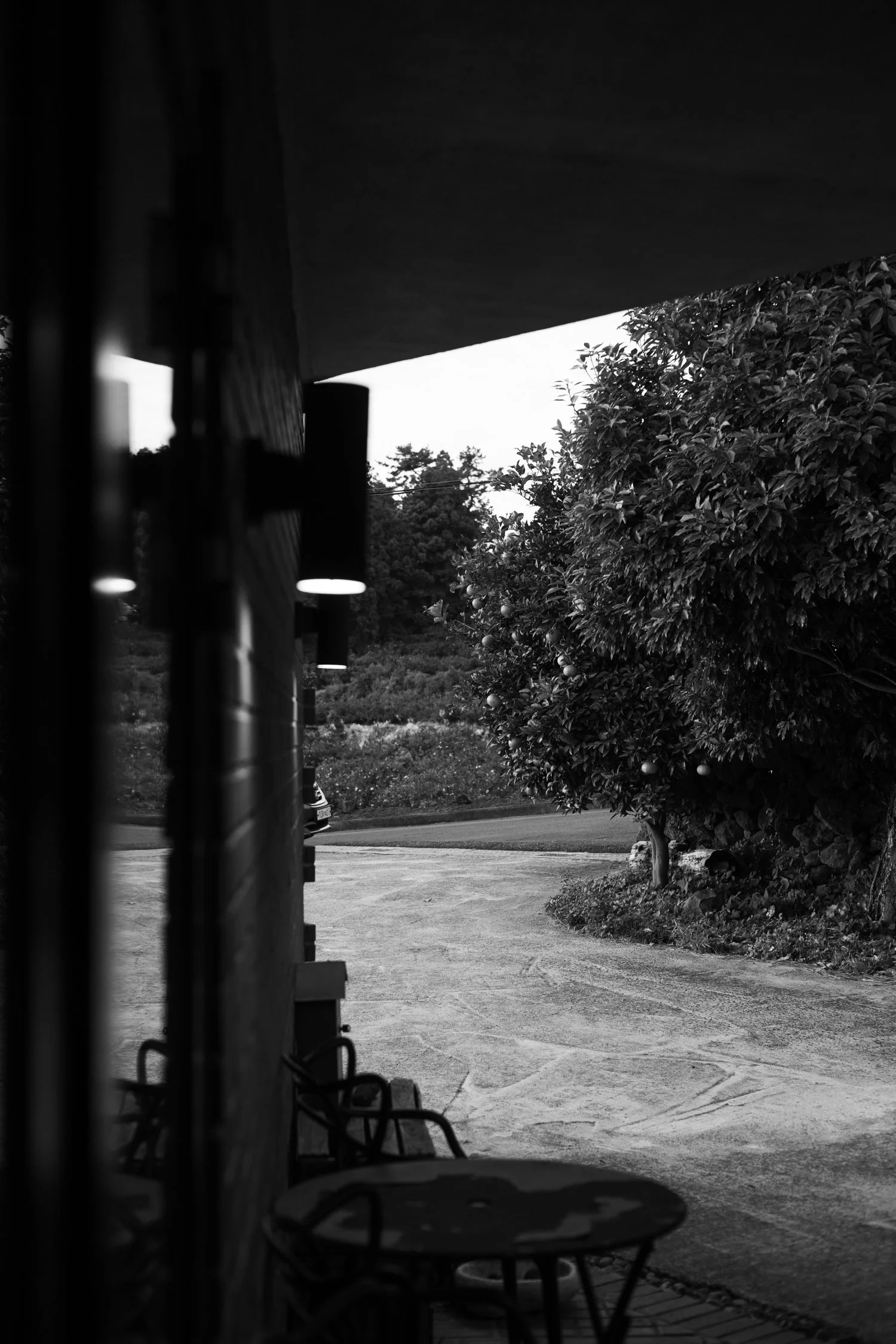 Jeju Island Bliss_ A Peaceful Getaway at Jeju Tokki Bed and Breakfast-091.jpg
