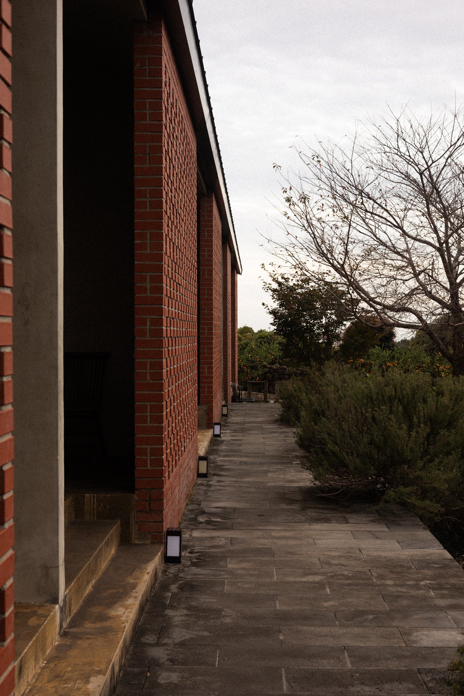 Jeju Island Bliss: A Peaceful Getaway at Jeju Tokki Bed and Breakfast