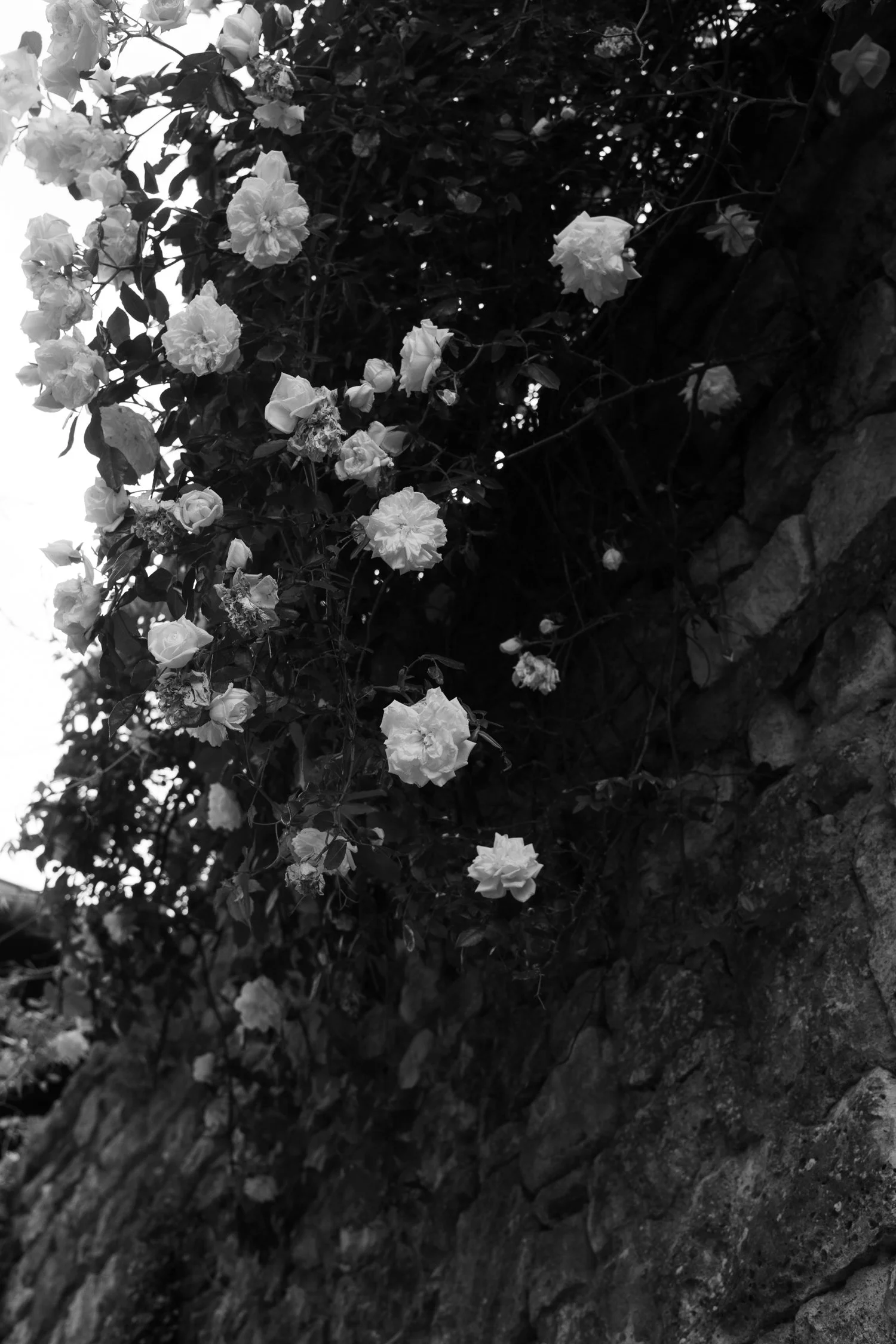 La Maison Papillons_ Montclus Countryside's Unique Hideaway-174.jpg