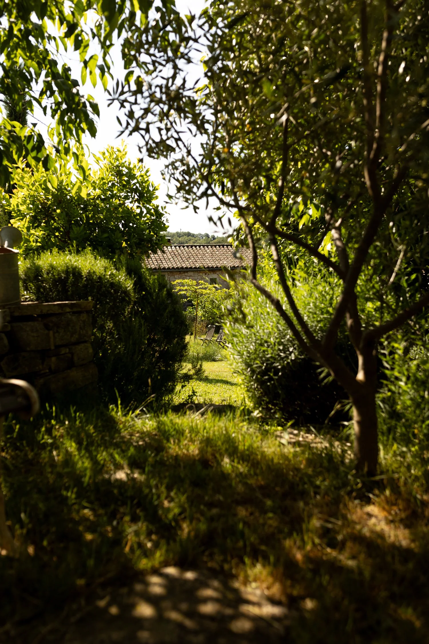 La Maison Papillons_ Montclus Countryside's Unique Hideaway-085.jpg
