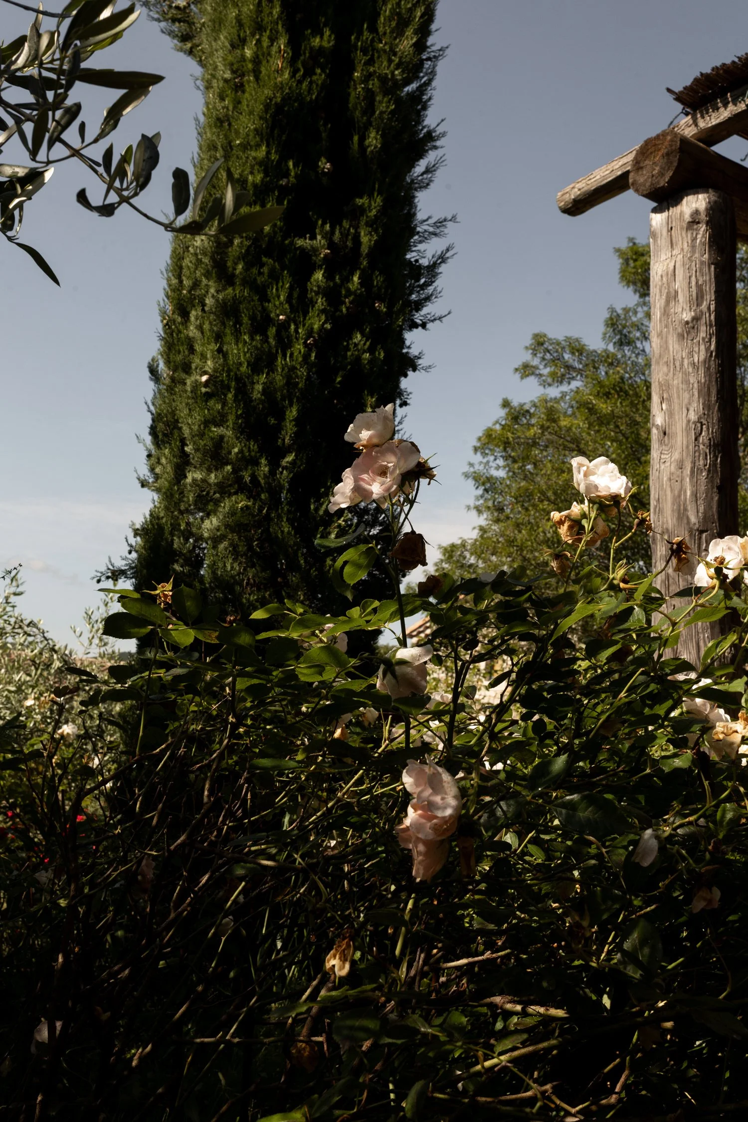 La Maison Papillons_ Montclus Countryside's Unique Hideaway-076.jpg