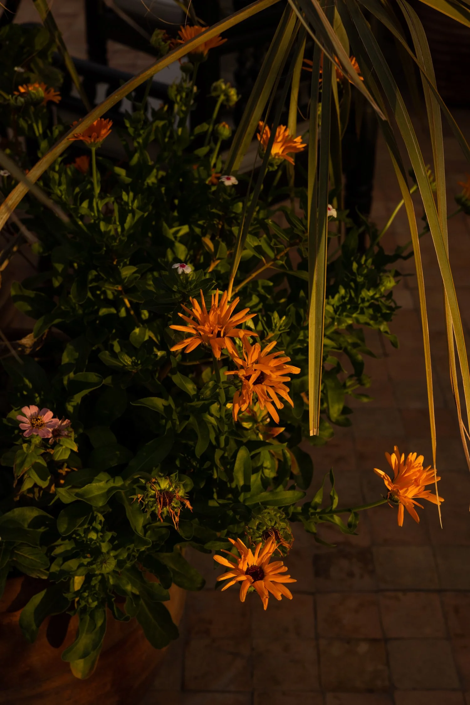 La Sultana Marrakech_ Experience Unrivalled Luxury in the Medina-077.jpg