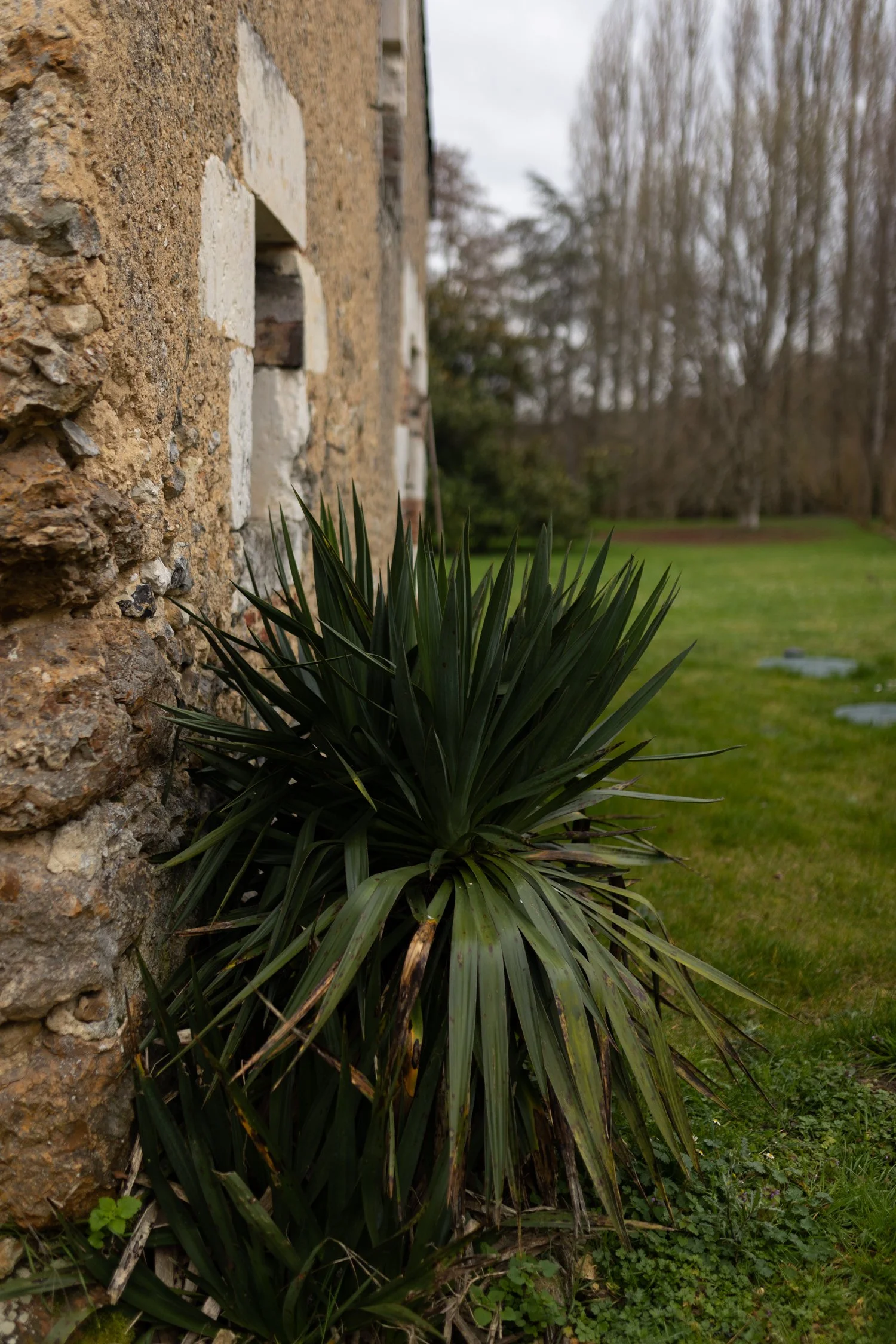 Le Moulin de belle queue-015.jpg