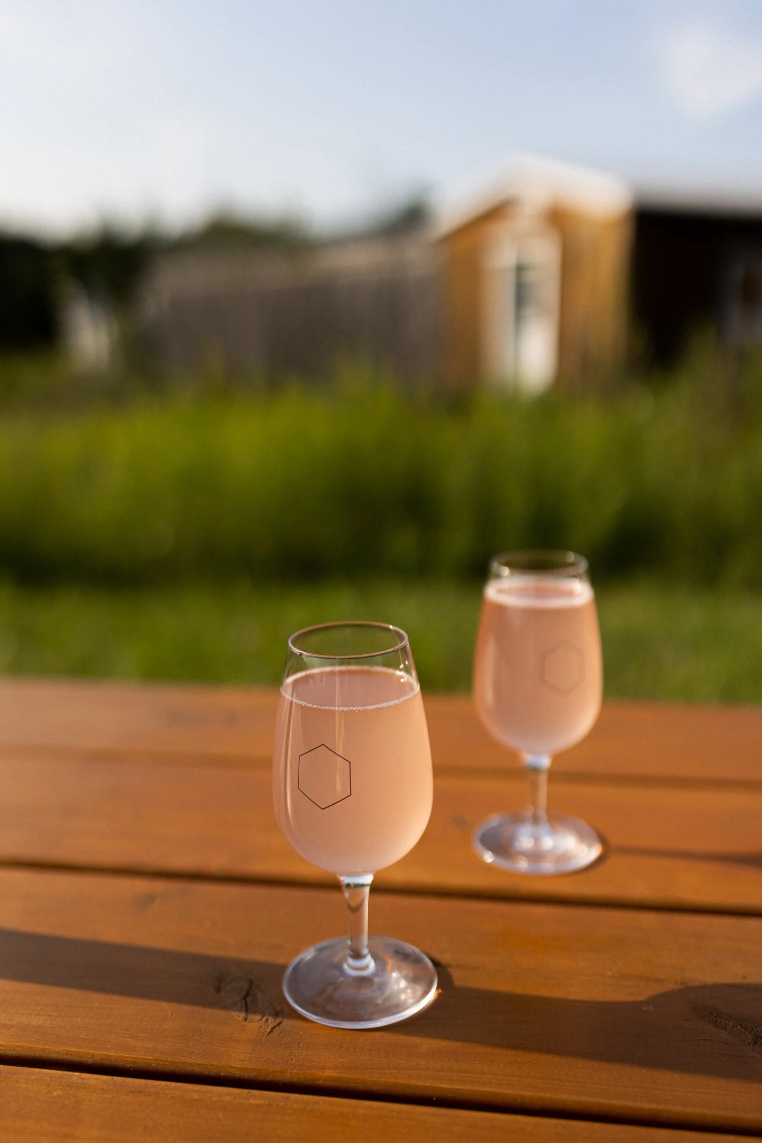 Miel d'Anicet -193.jpg