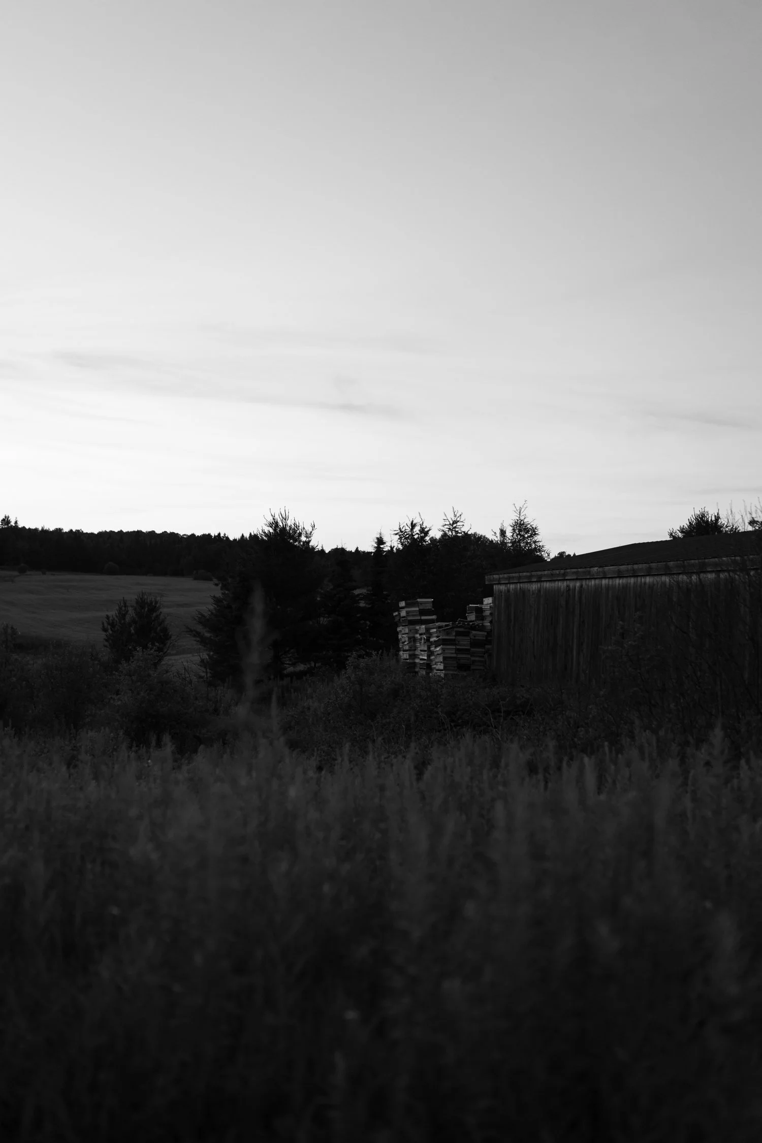 Miel d'Anicet -100.jpg