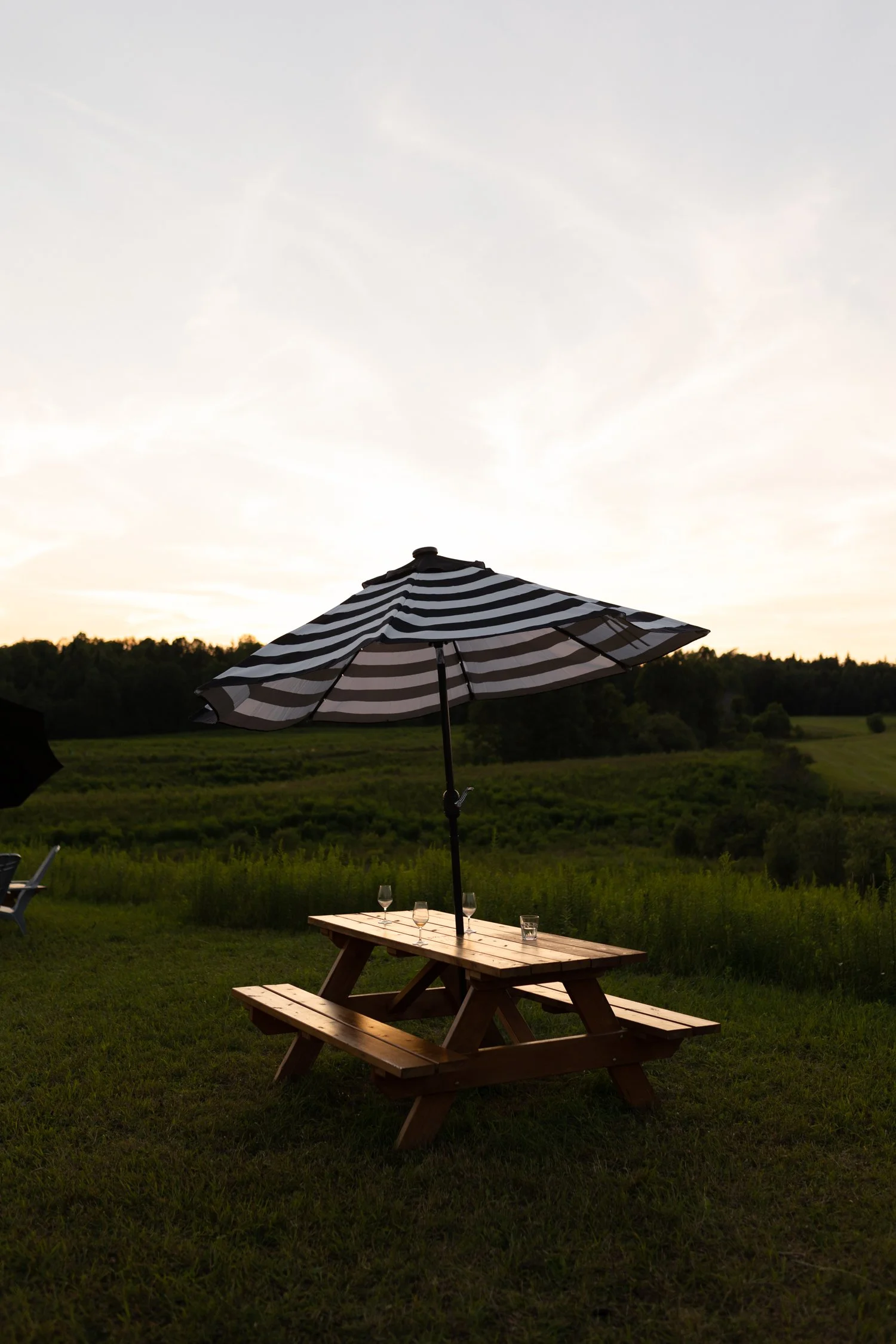 Miel d'Anicet -187.jpg