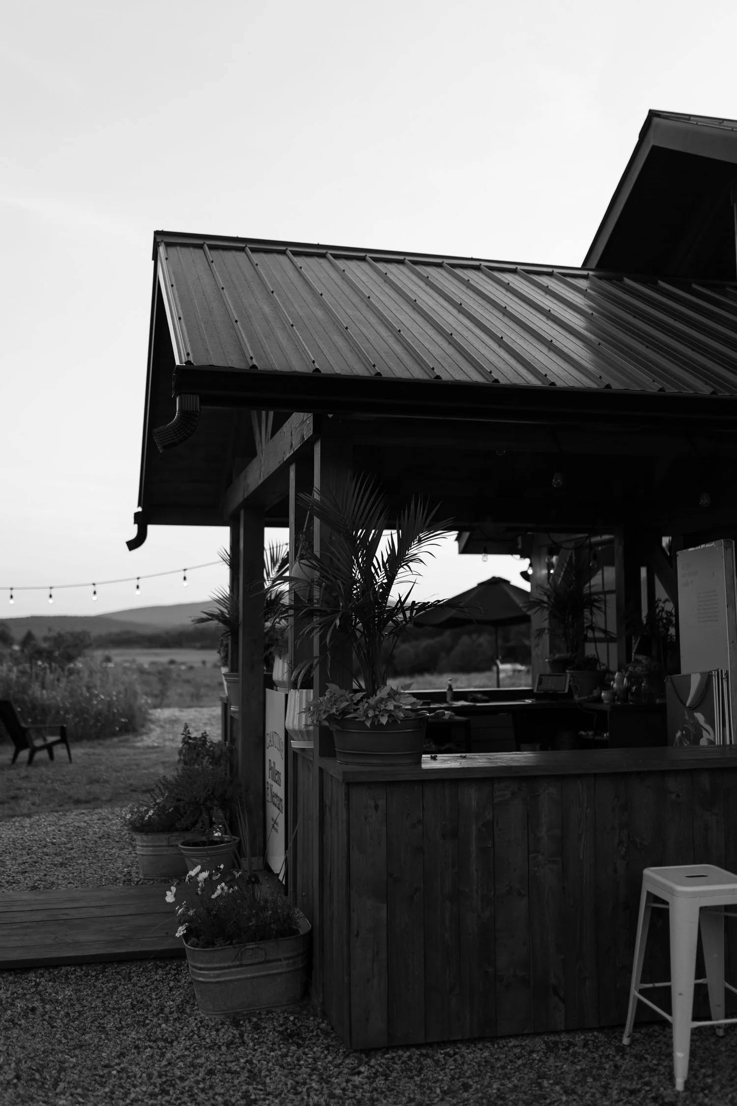 Miels d’Anicet, Cantine Pollens &amp; Nectars