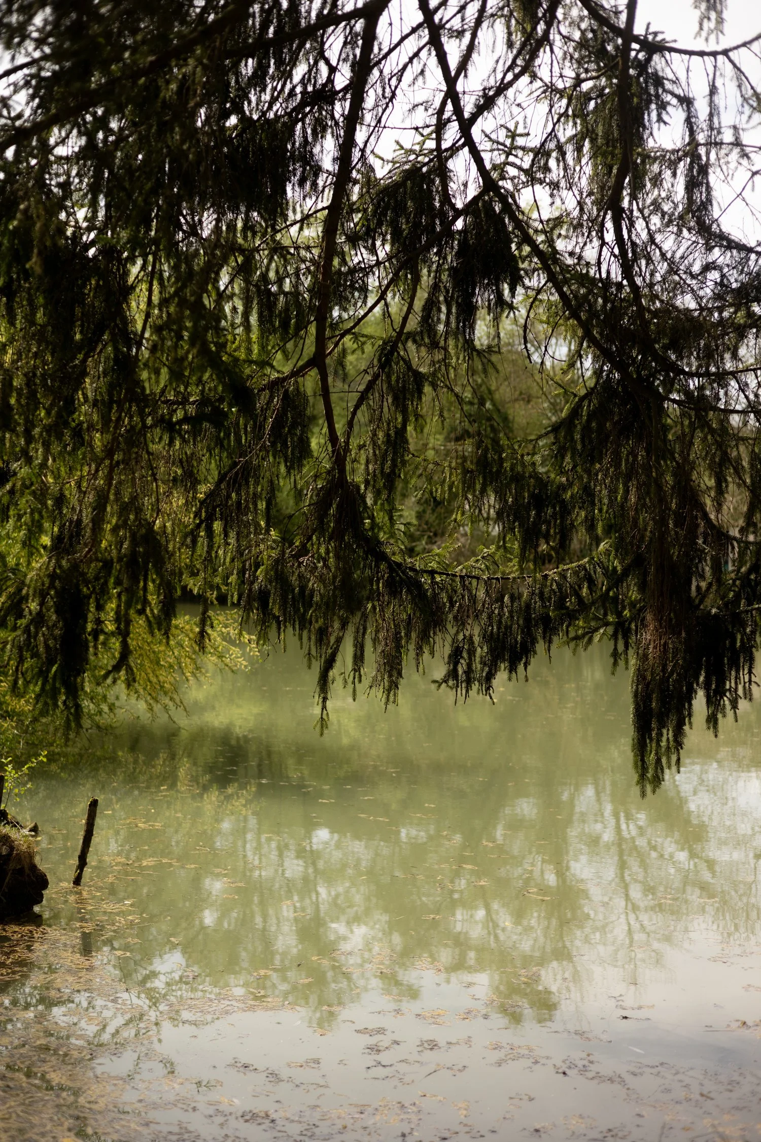 Hotel Papotte-329.jpg