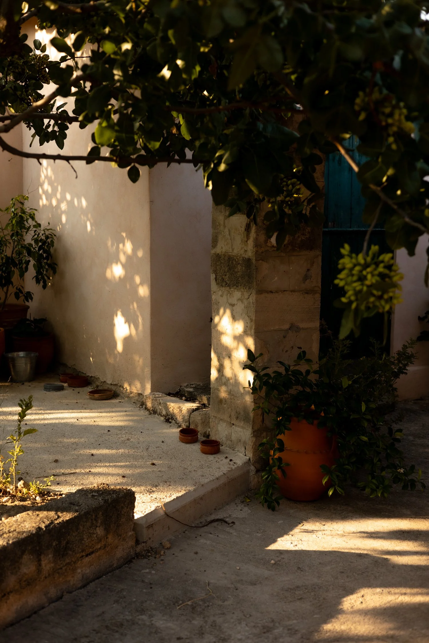 Terra House by Amber Houses_ The Greek Slow Life You Crave in Aegina-186.jpg