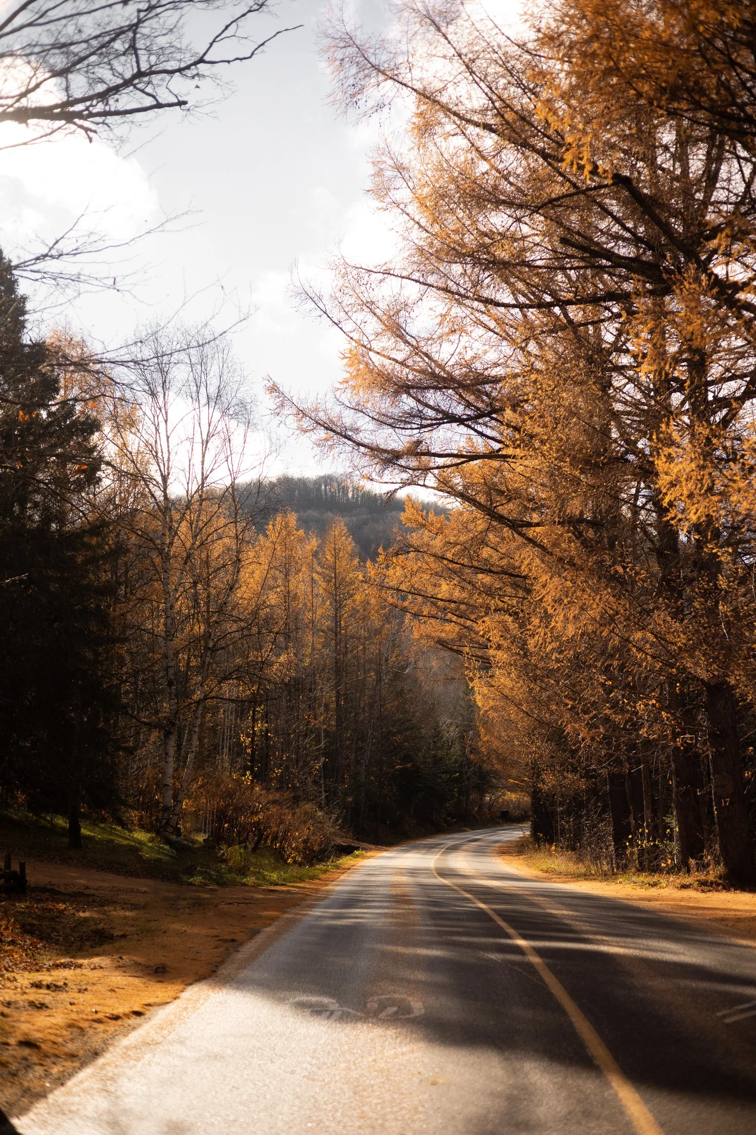 The Culinary Gateway Guide with Terroir et Saveurs du Québec-08.jpg