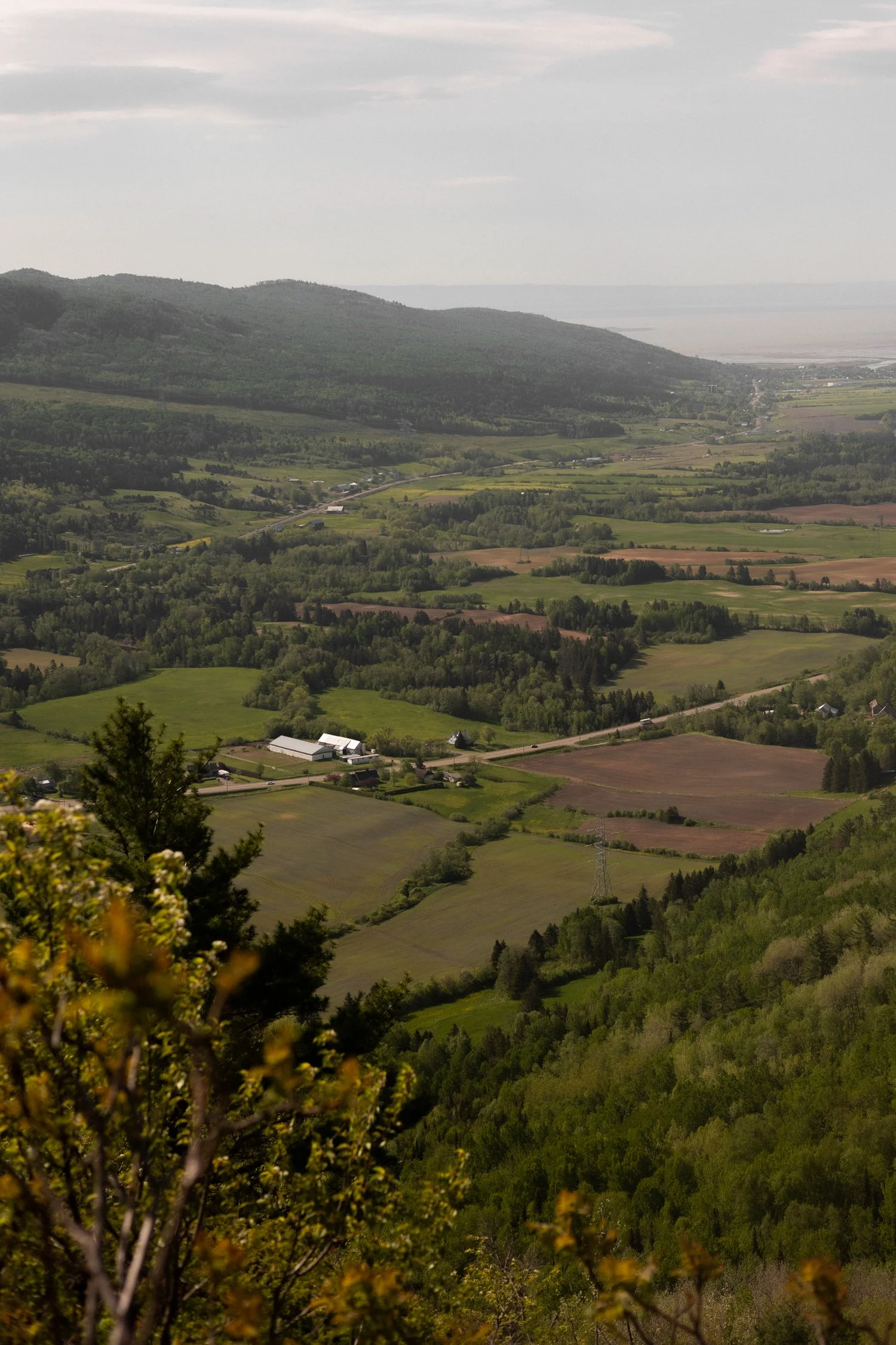 The Culinary Gateway Guide with Terroir et Saveurs du Québec-47.jpg