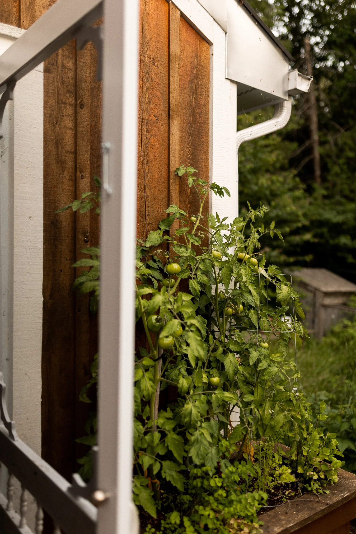 The Culinary Gateway Guide with Terroir et Saveurs du Québec-15.jpg