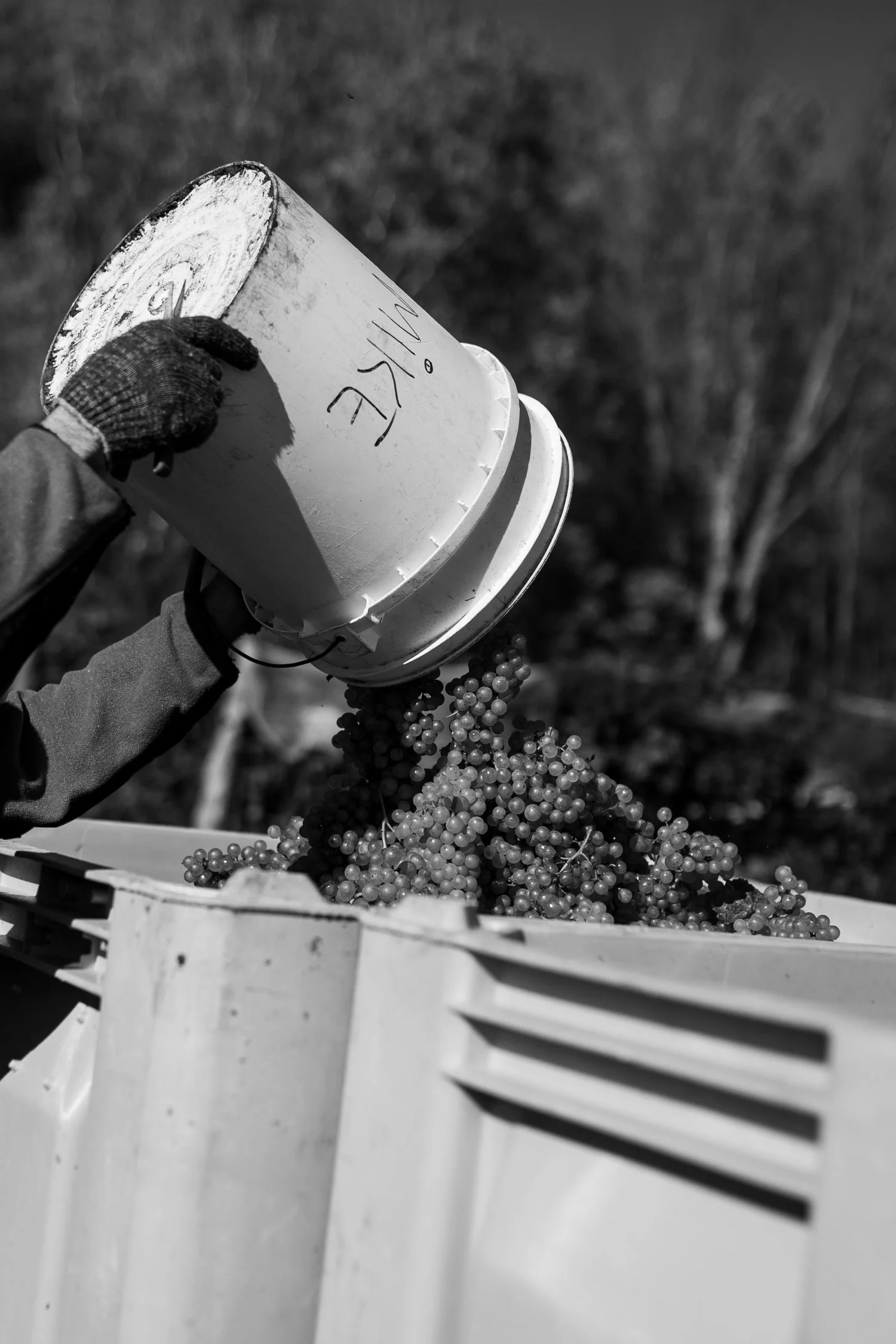 The Culinary Gateway Guide with Terroir et Saveurs du Québec-52.jpg