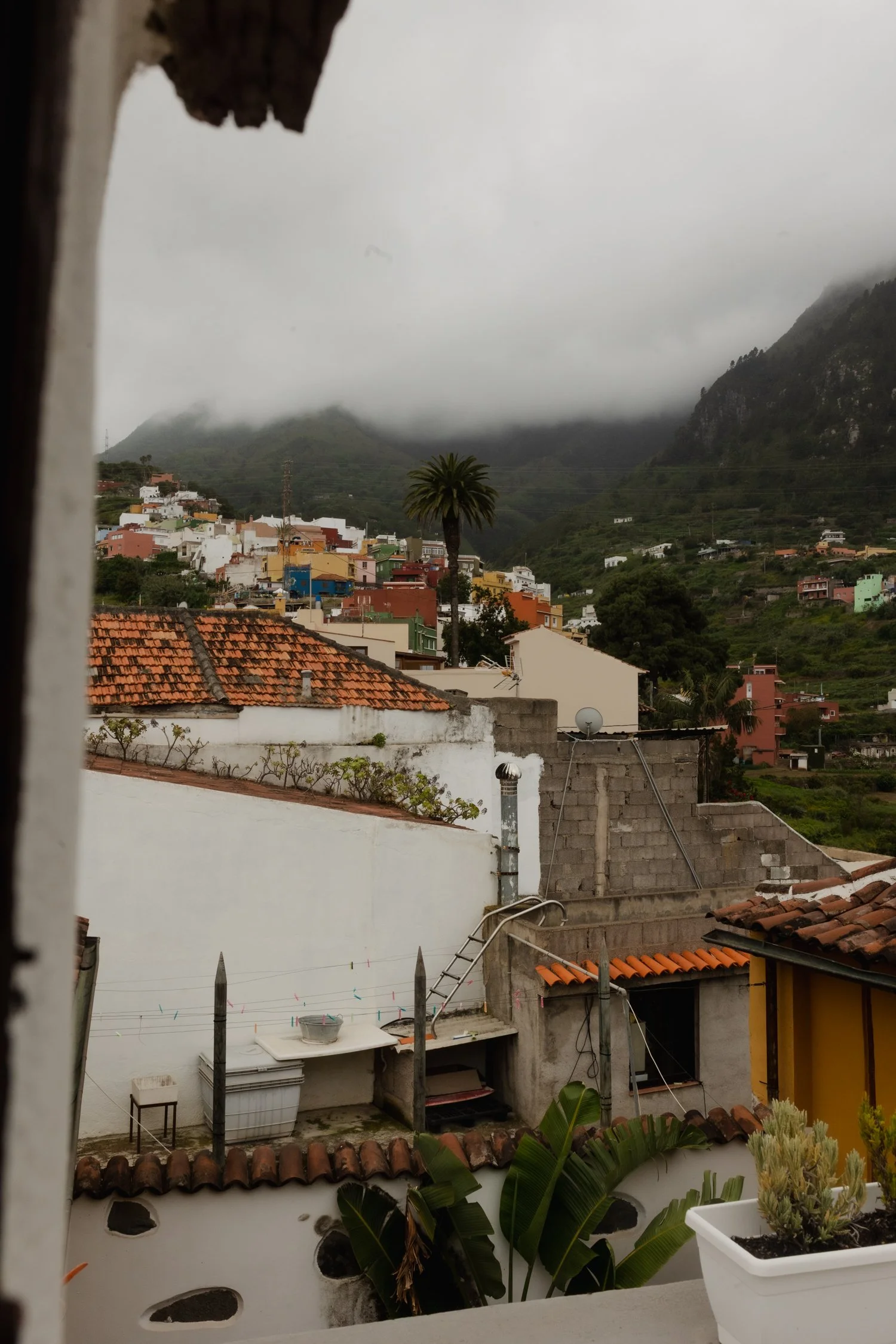 Tulia Guesthouse in Tenerife_ Northern Charm with a Community Vibe%0A-30.jpg