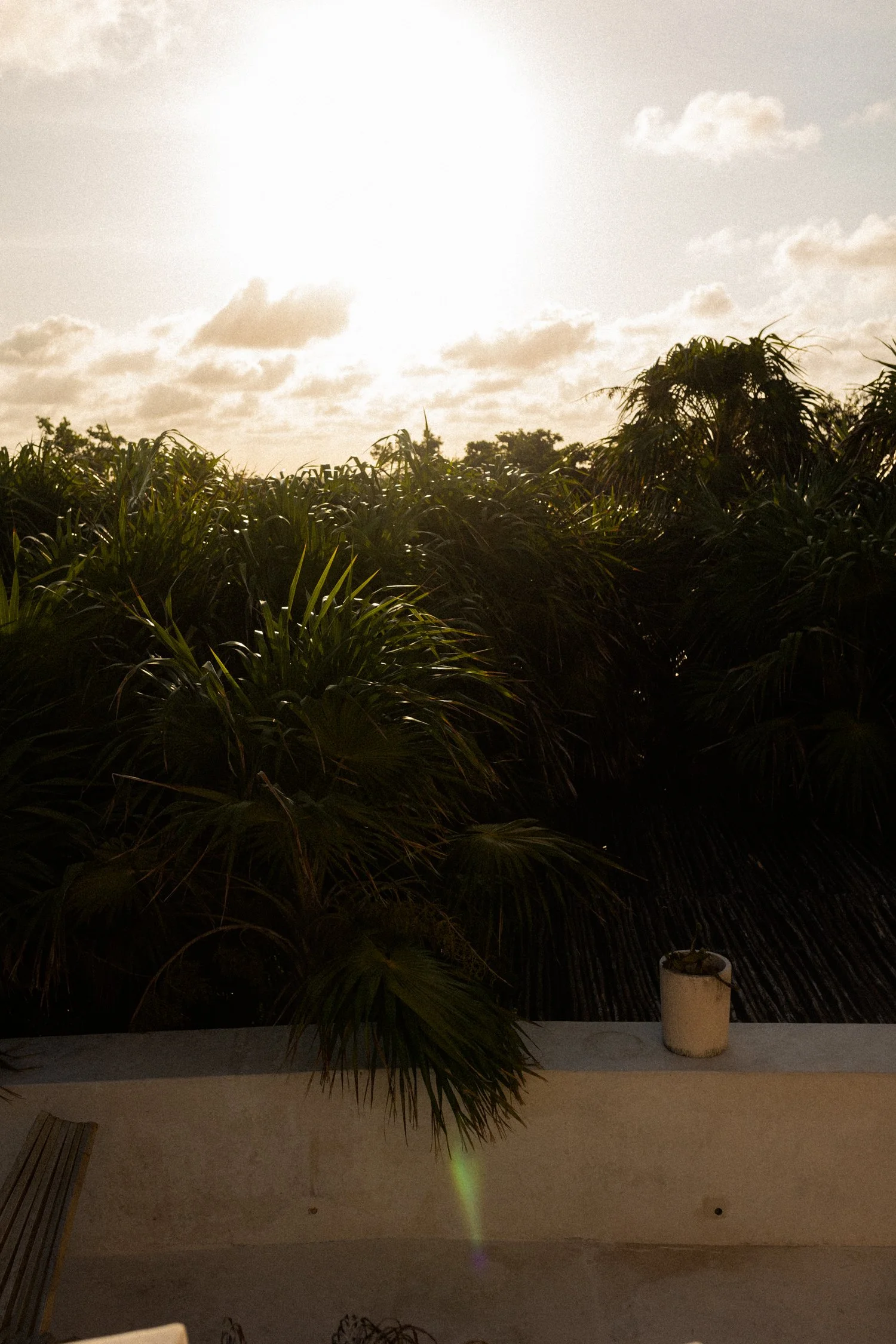 Tulum Treehouse by Slow-053.jpg