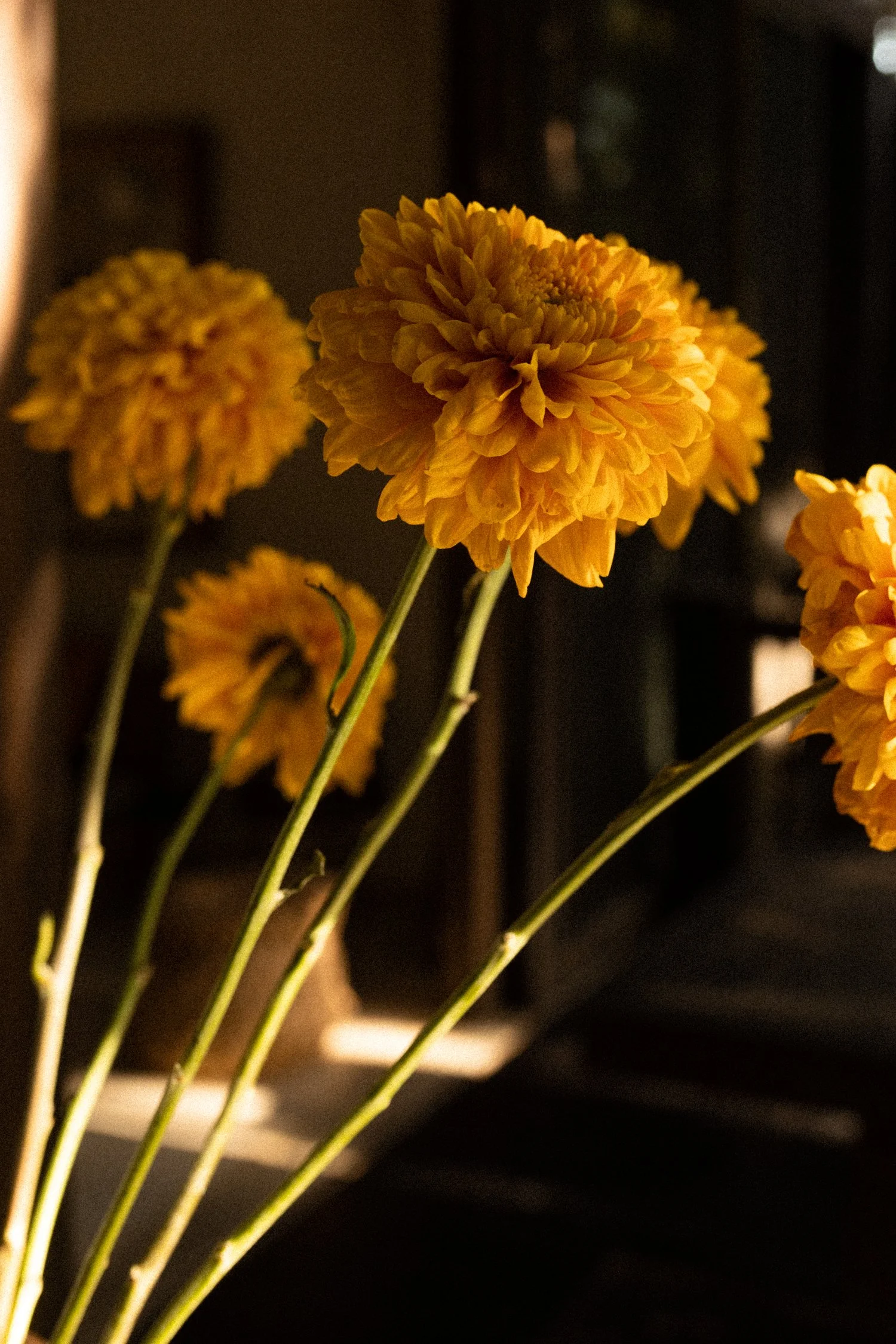 Tulum Treehouse by Slow-075.jpg