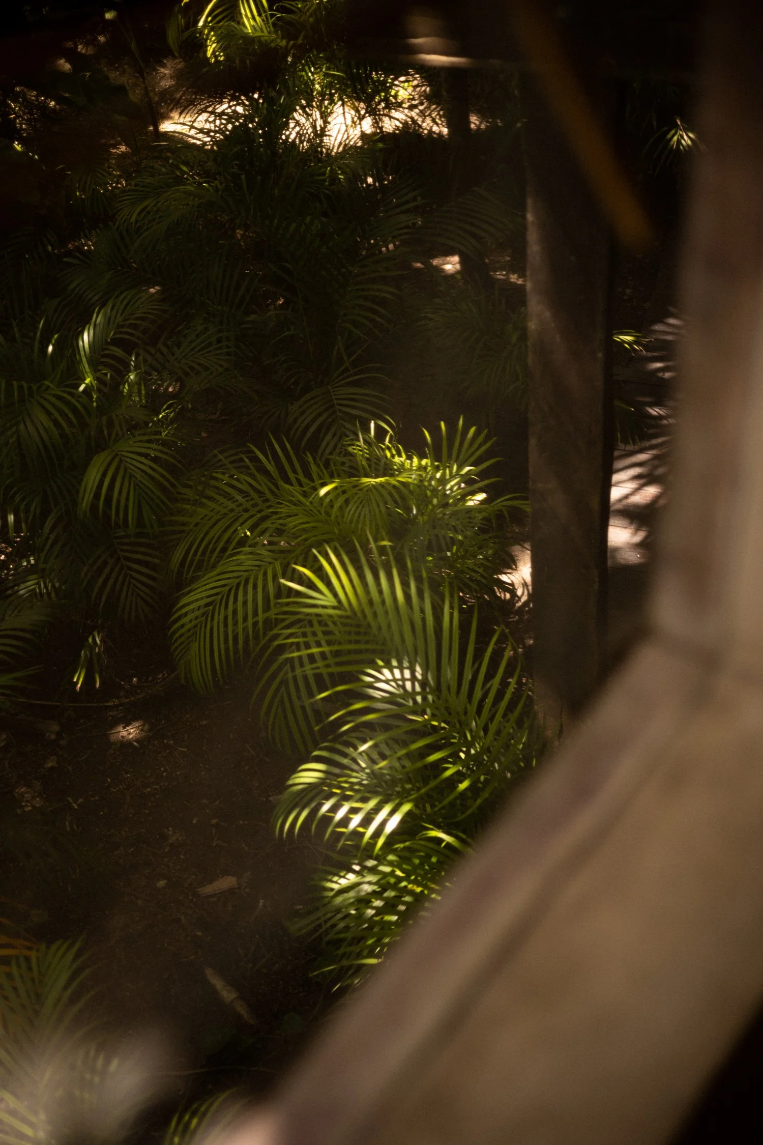 Tulum Treehouse by Slow-107.jpg