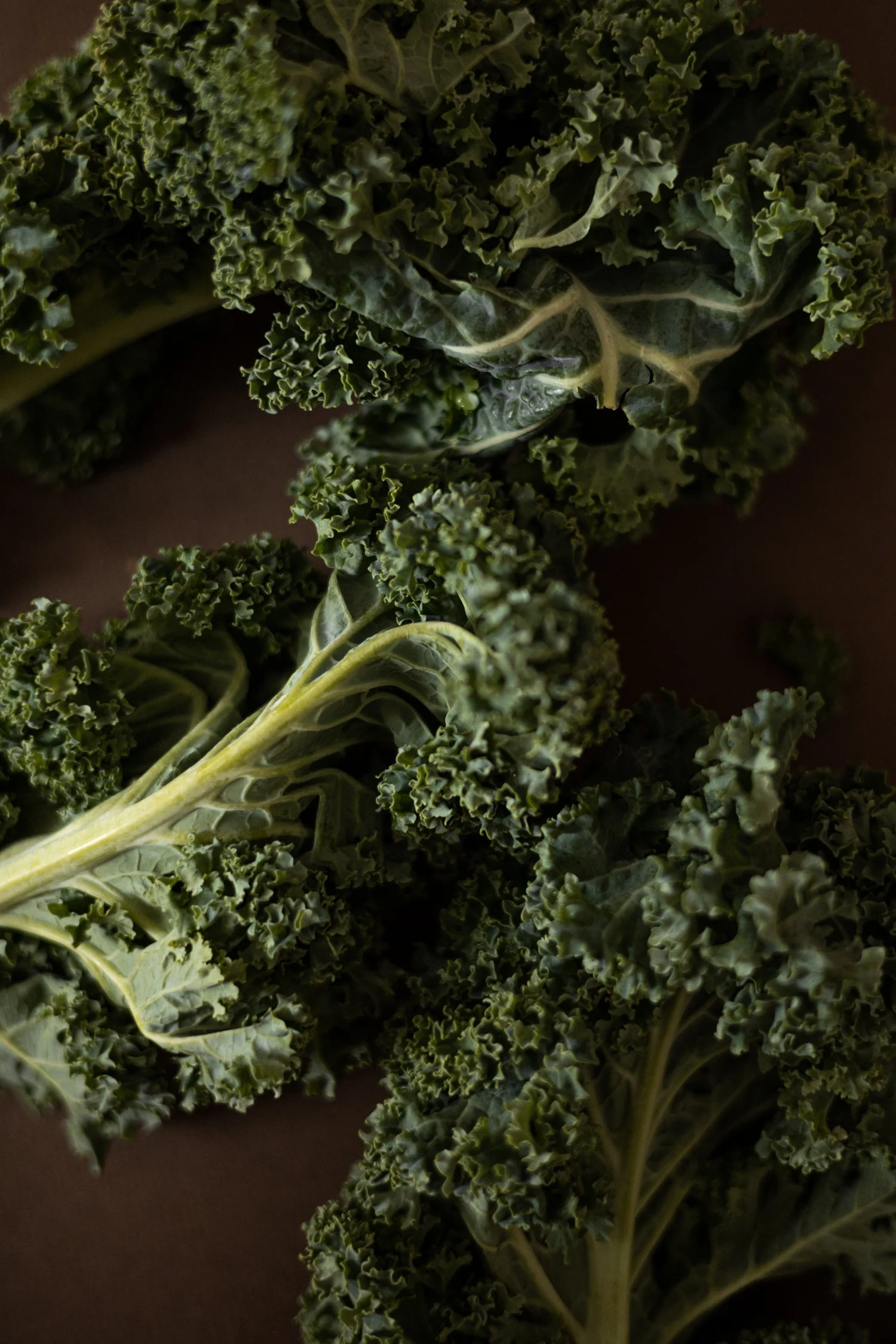 Kale salad recipe with red cabbage and walnuts