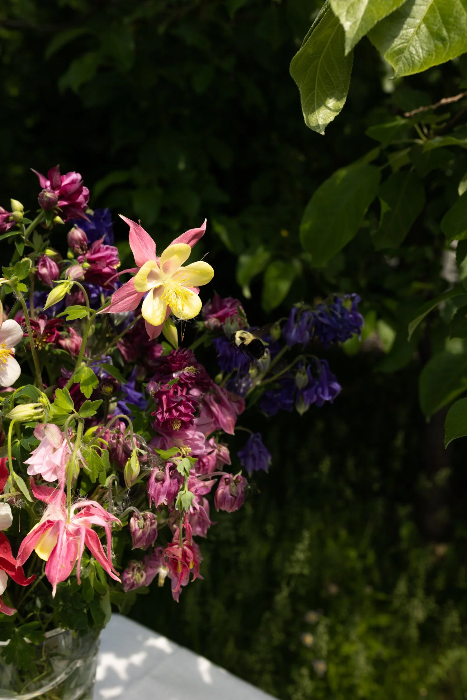 Recipes for a colourful summer table-50.jpg