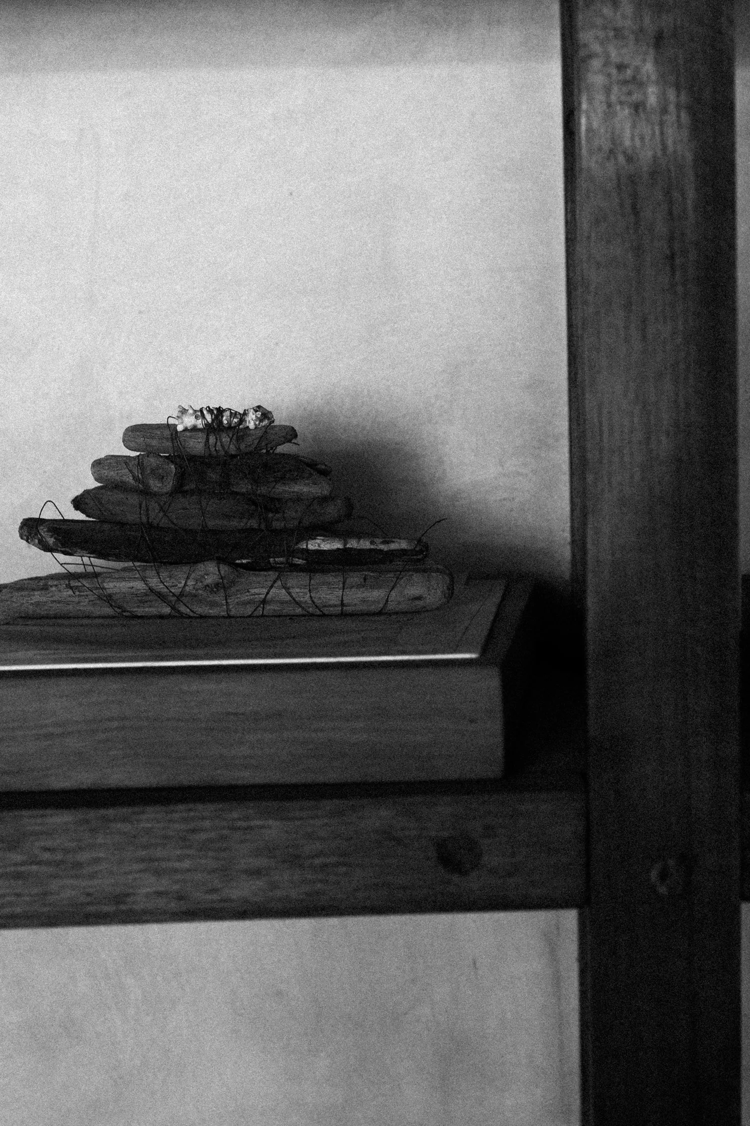 Xinú perfumes_ A Celebration of Mexican Aromatic Botany-24.jpg