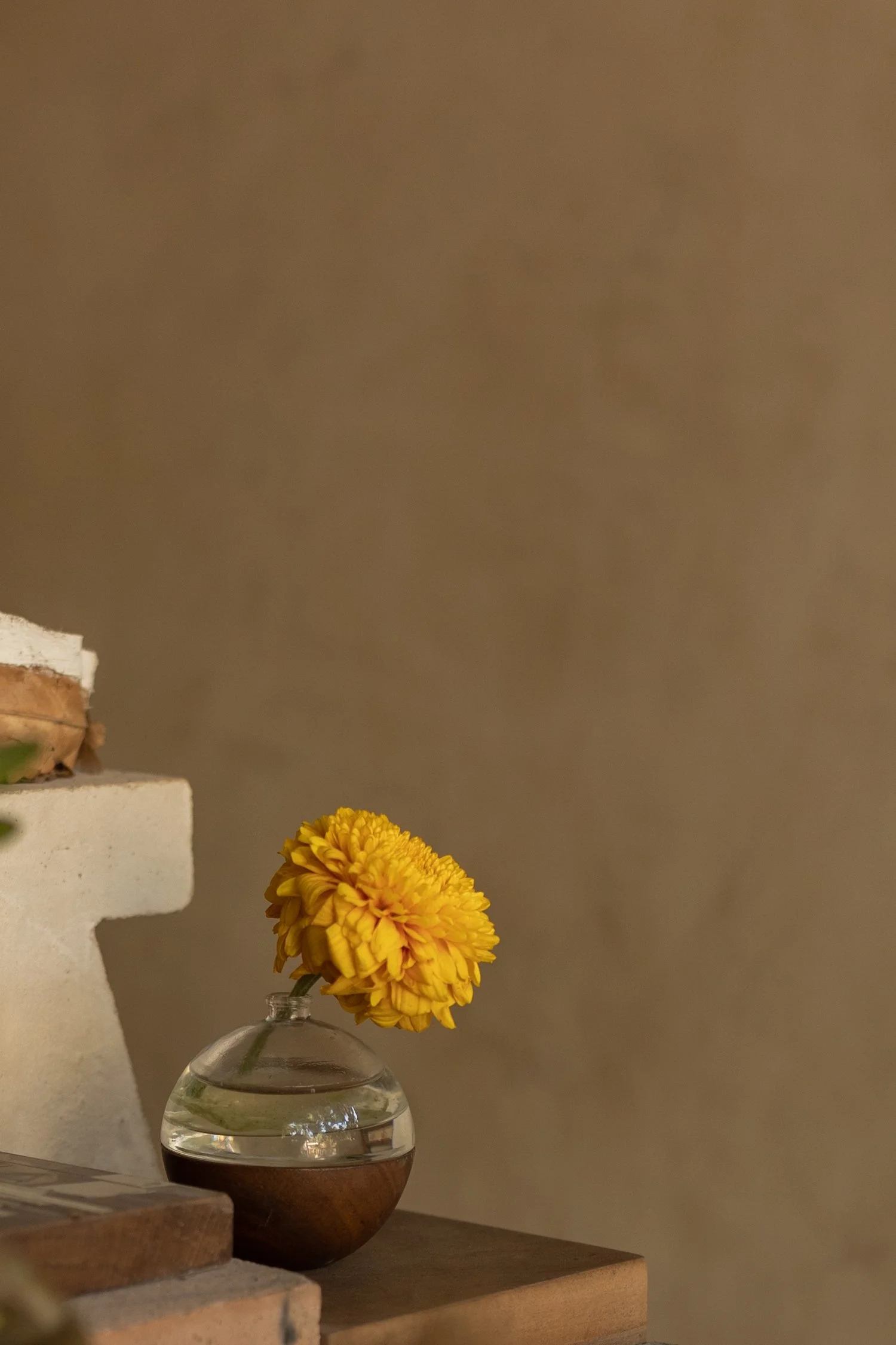 Xinú perfumes_ A Celebration of Mexican Aromatic Botany-42.jpg