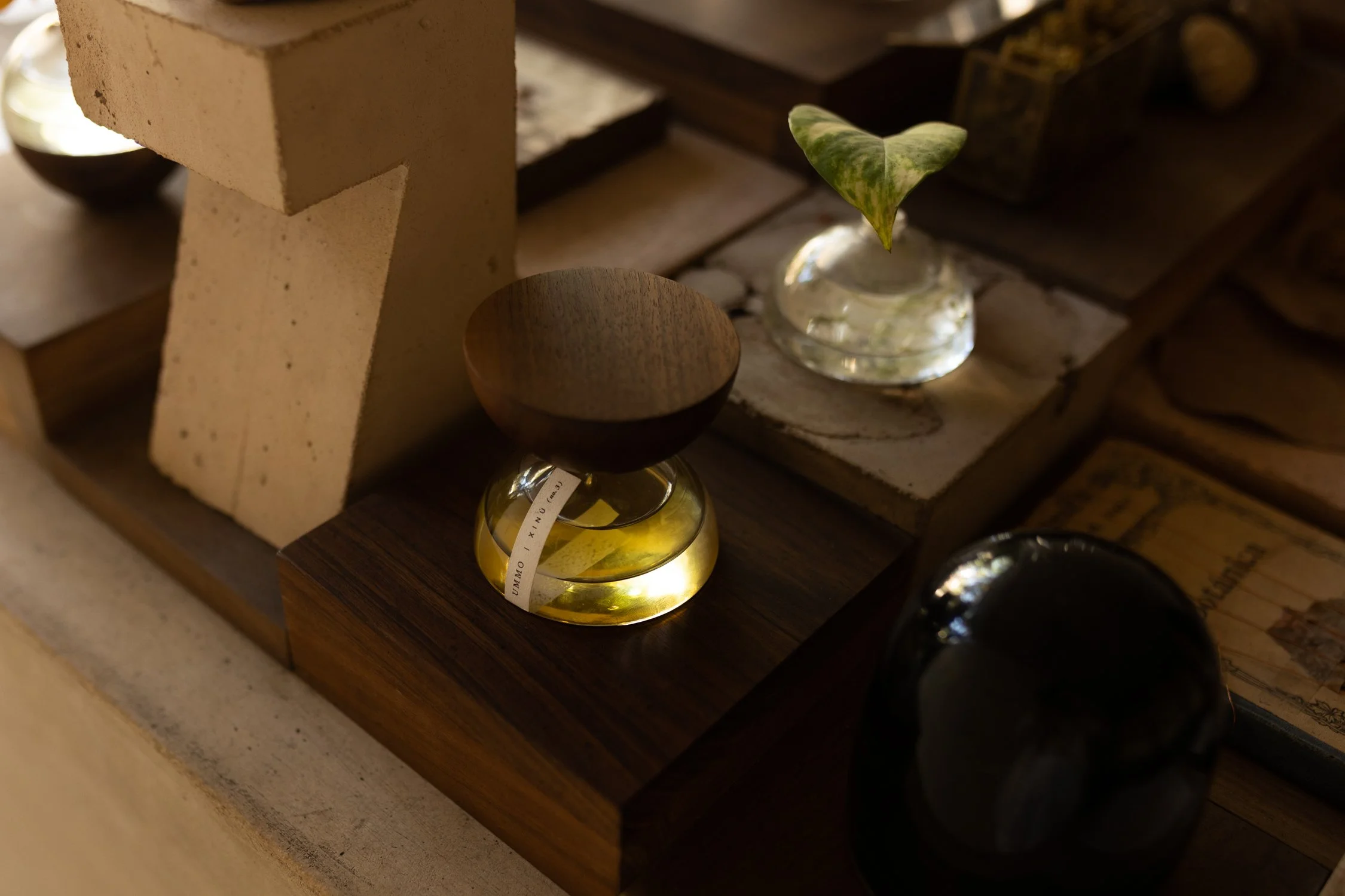 Xinú perfumes_ A Celebration of Mexican Aromatic Botany-10.jpg