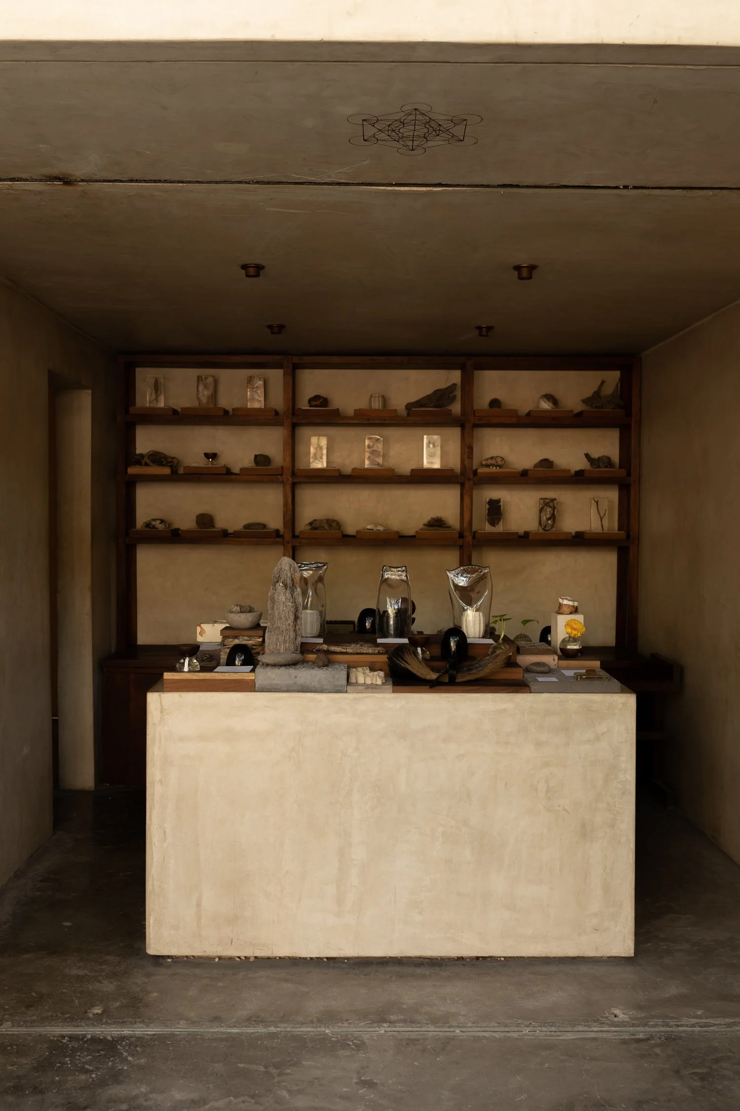 Xinú perfumes: A Celebration of Mexican Aromatic Botany