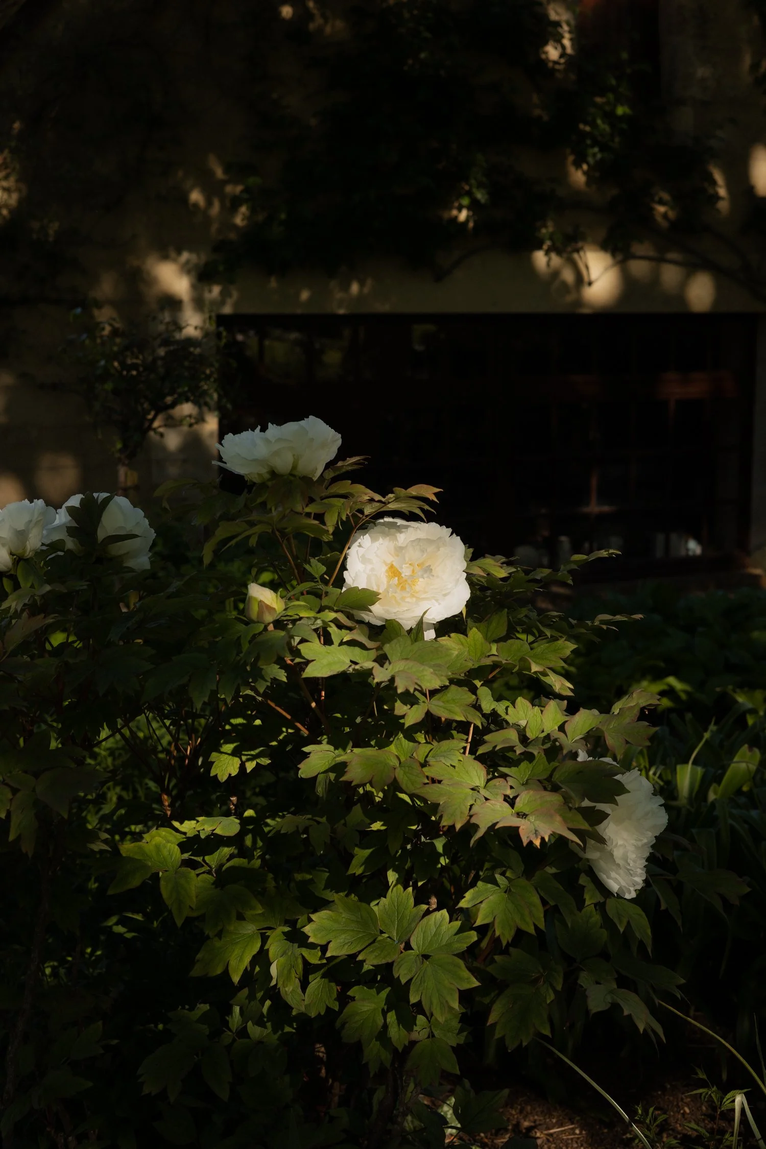 Apremont-sur-Allier_ A Weekend Getaway Just Two Hours from Paris-58.jpg