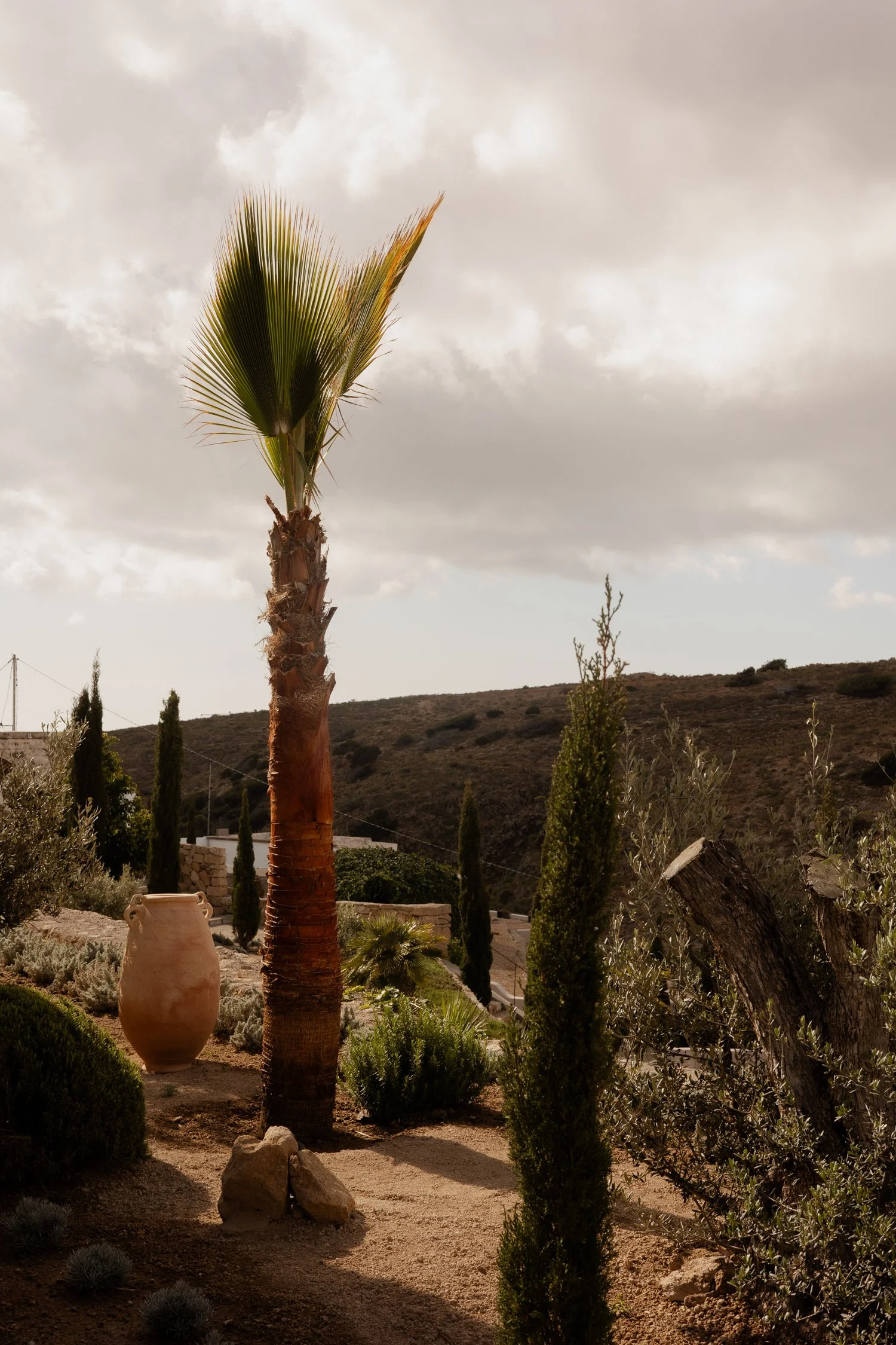 Wellness Hospitality in Tenerife_ Inside Villa Naoko and a Conversation with Anthony Picq, Founder of EcoHotel El Agua-406.jpg