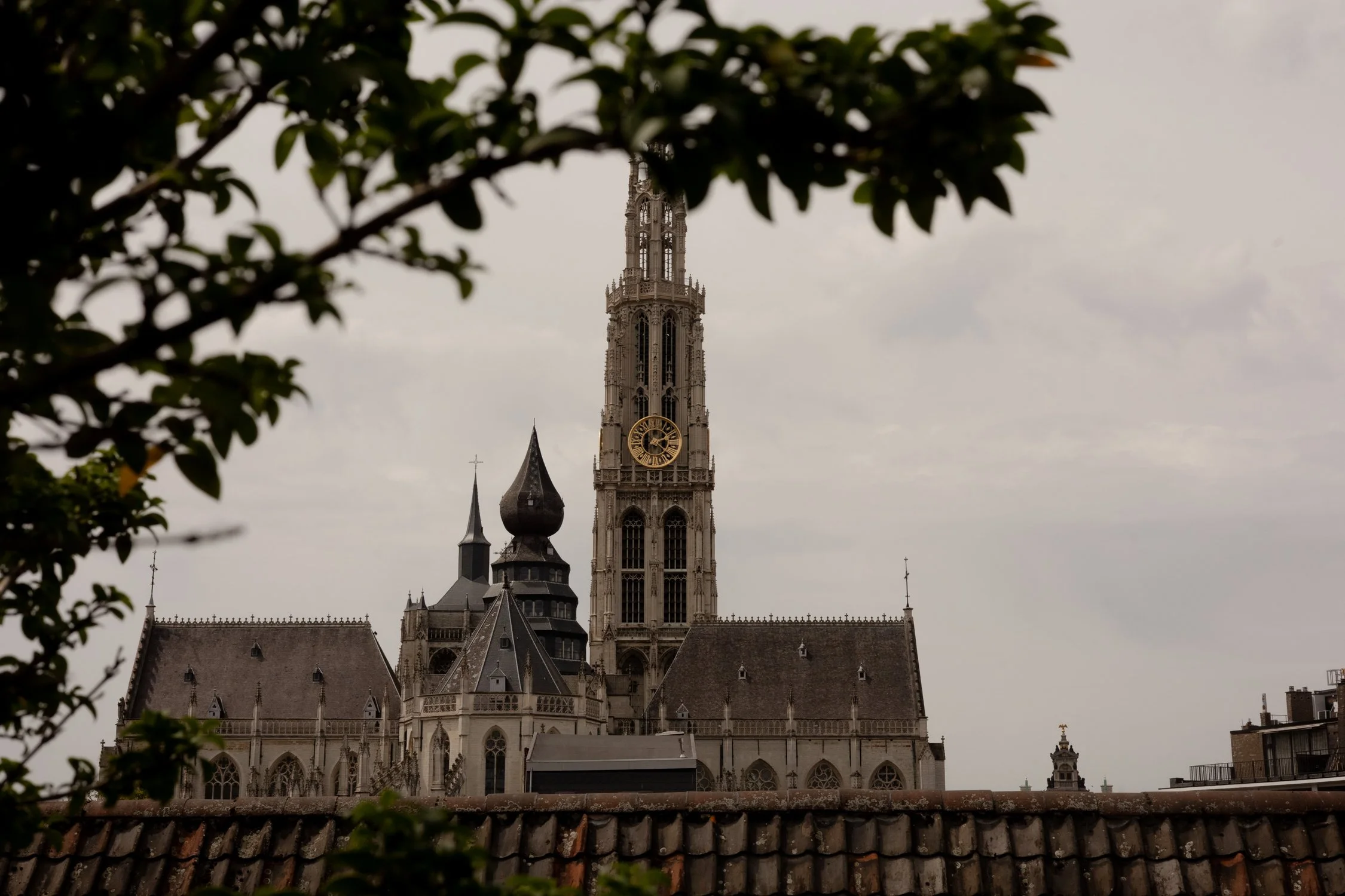 Hotel Julien Antwerp_ Inside One of Antwerp's Best Boutique Hotels-97.jpg