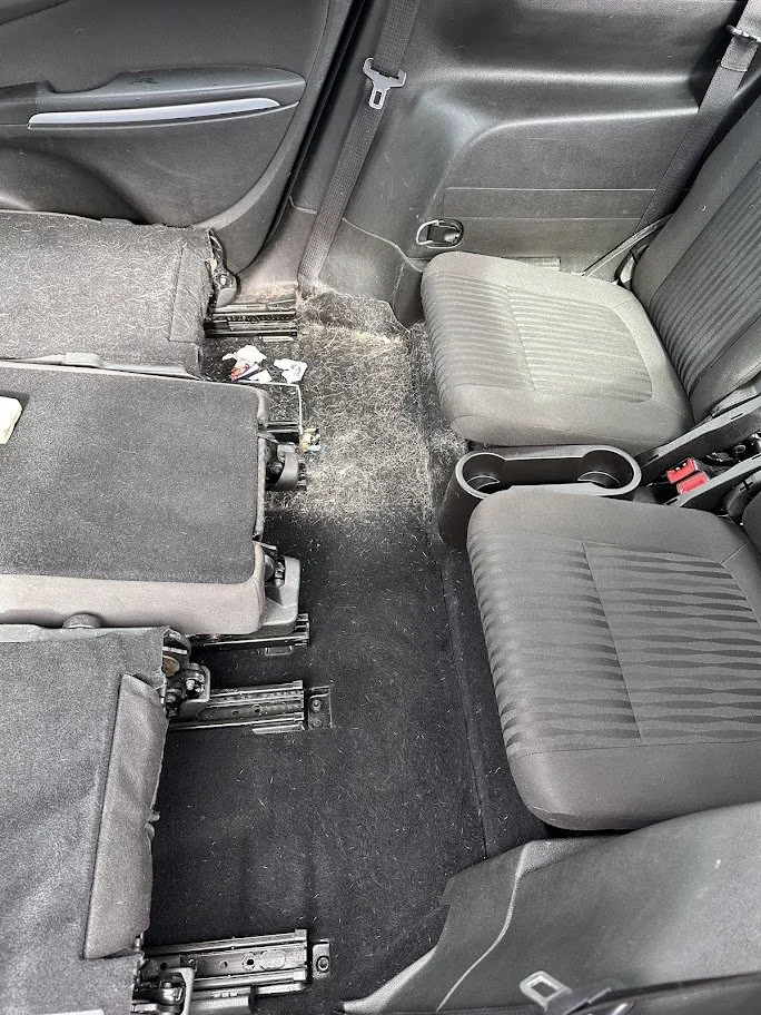 The interior of a vehicle showing the second-row seats, with the seats folded up, revealing the dirty black carpeted floor.