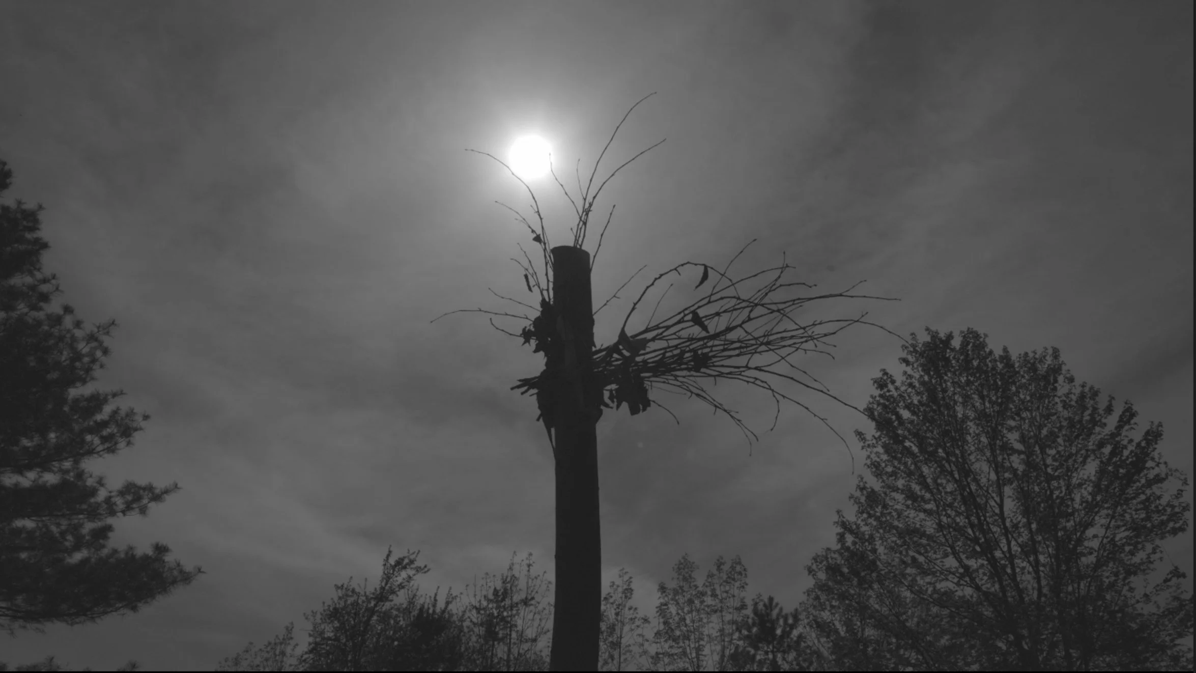 Pole of Sun Moon Dance Ceremony