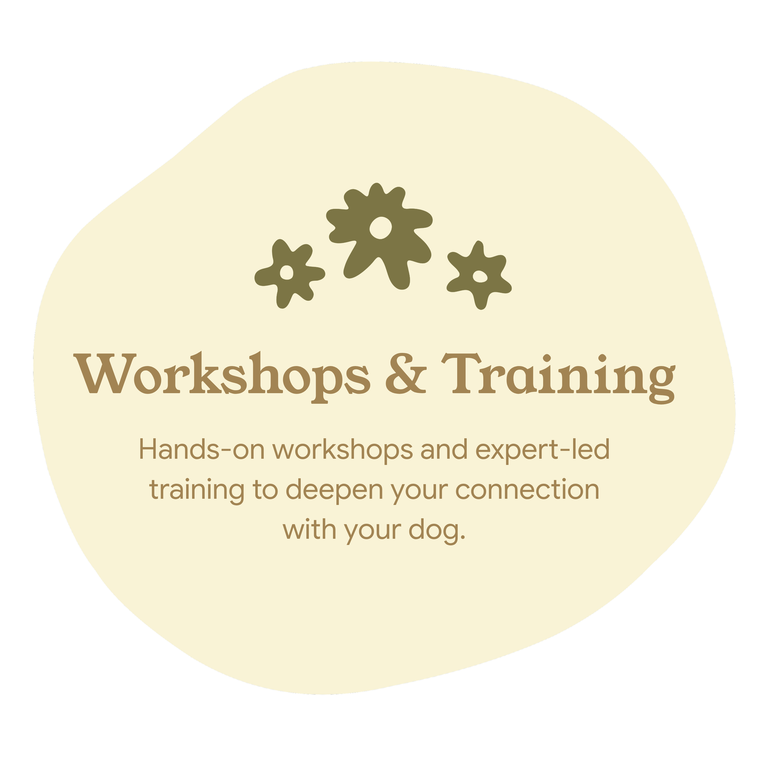 Logo for Workshops & Training with a floral graphic that promotes workshops with your dog.