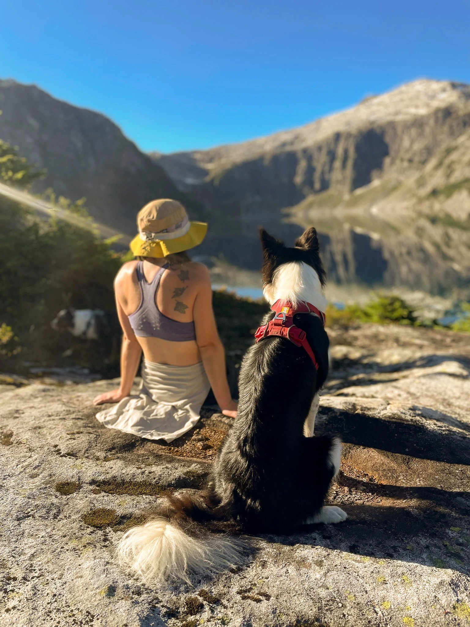 A woman and a dog sitting by a lake with mountains in the background on a sunny day.