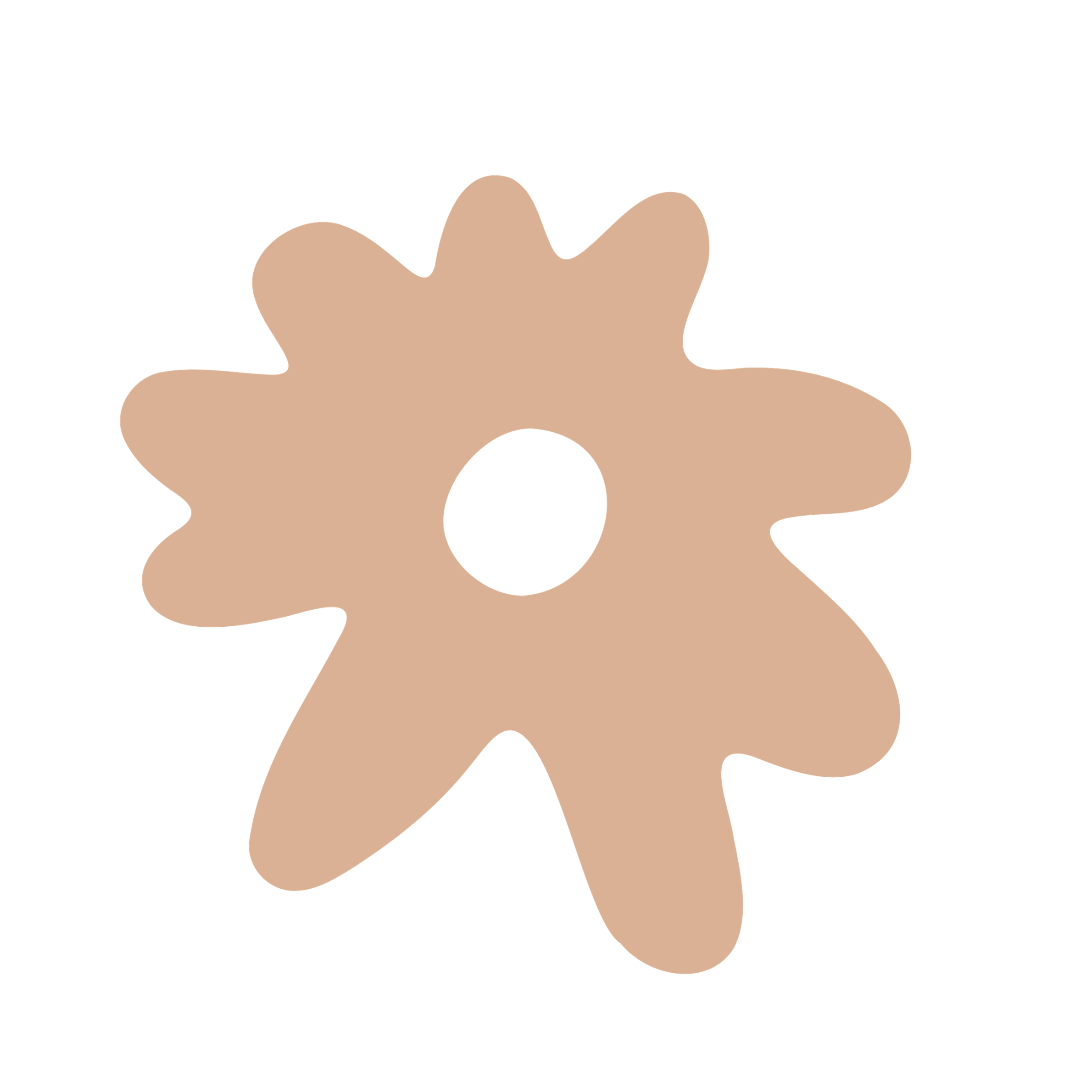 A salmon coloured abstract flower illustration
