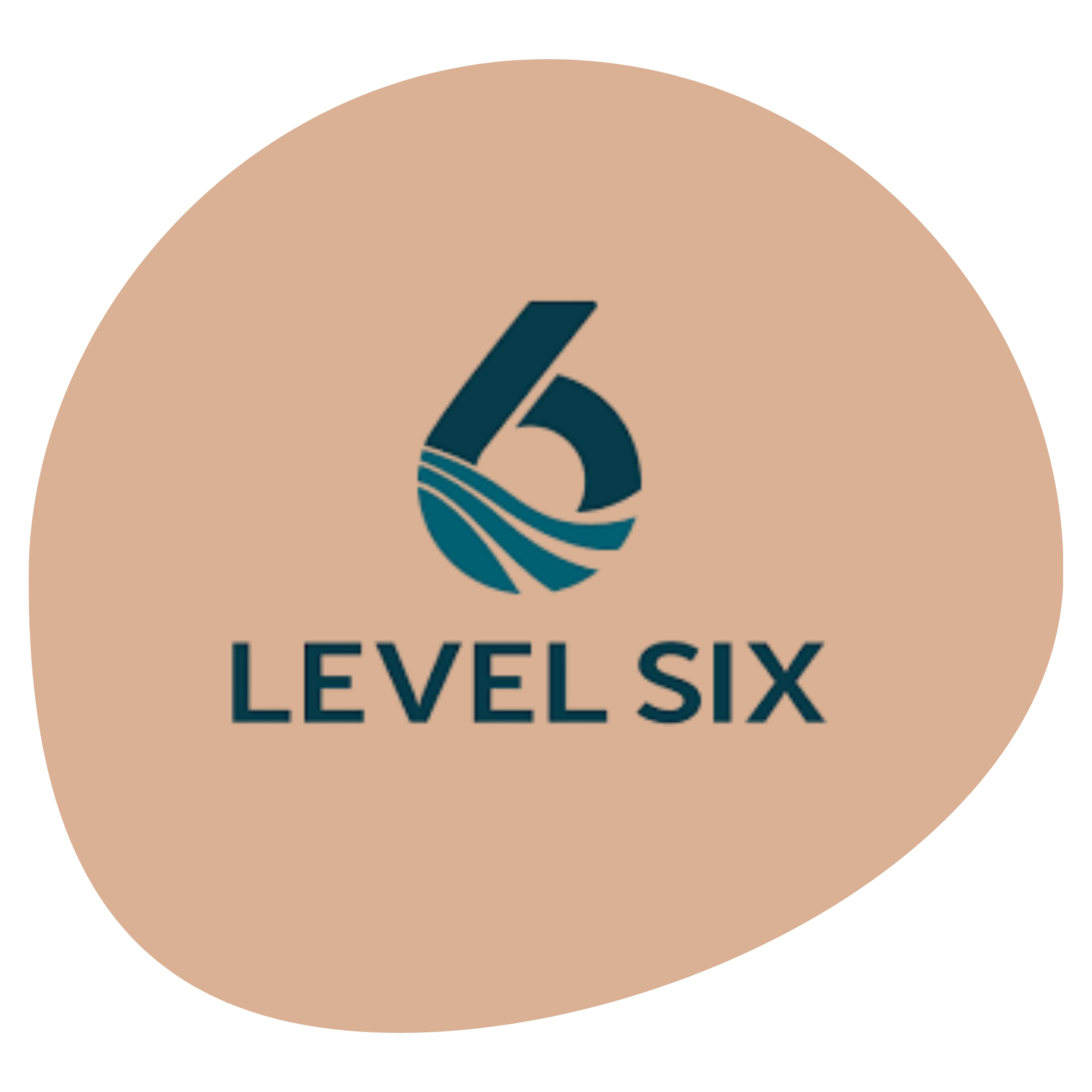 Close up of logo for Level 6 on a salmon background