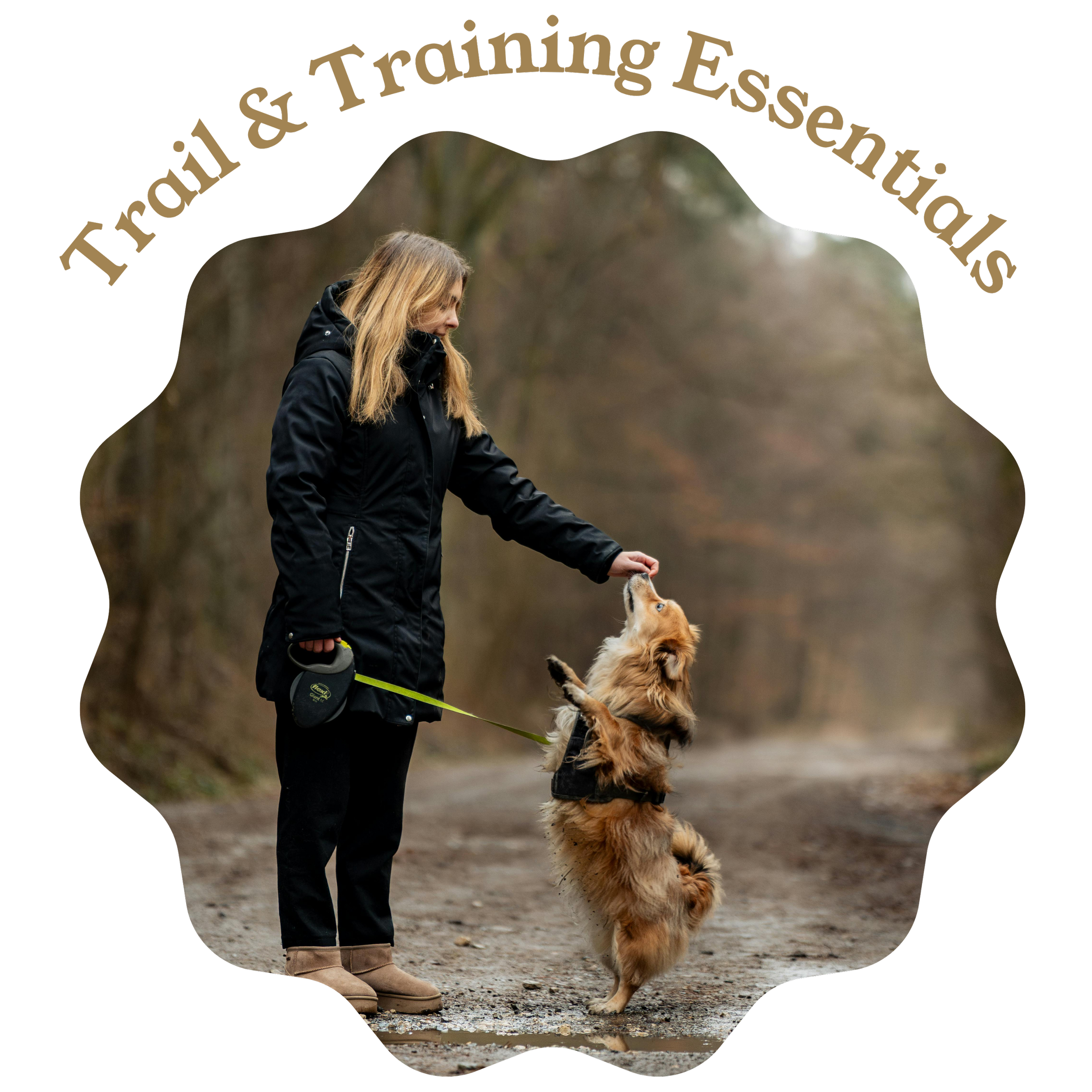 A woman in black outdoors engages with a lively, tan, black, and white Australian Shepherd dog, which is standing on its hind legs, in an outdoor setting with trees in the background.