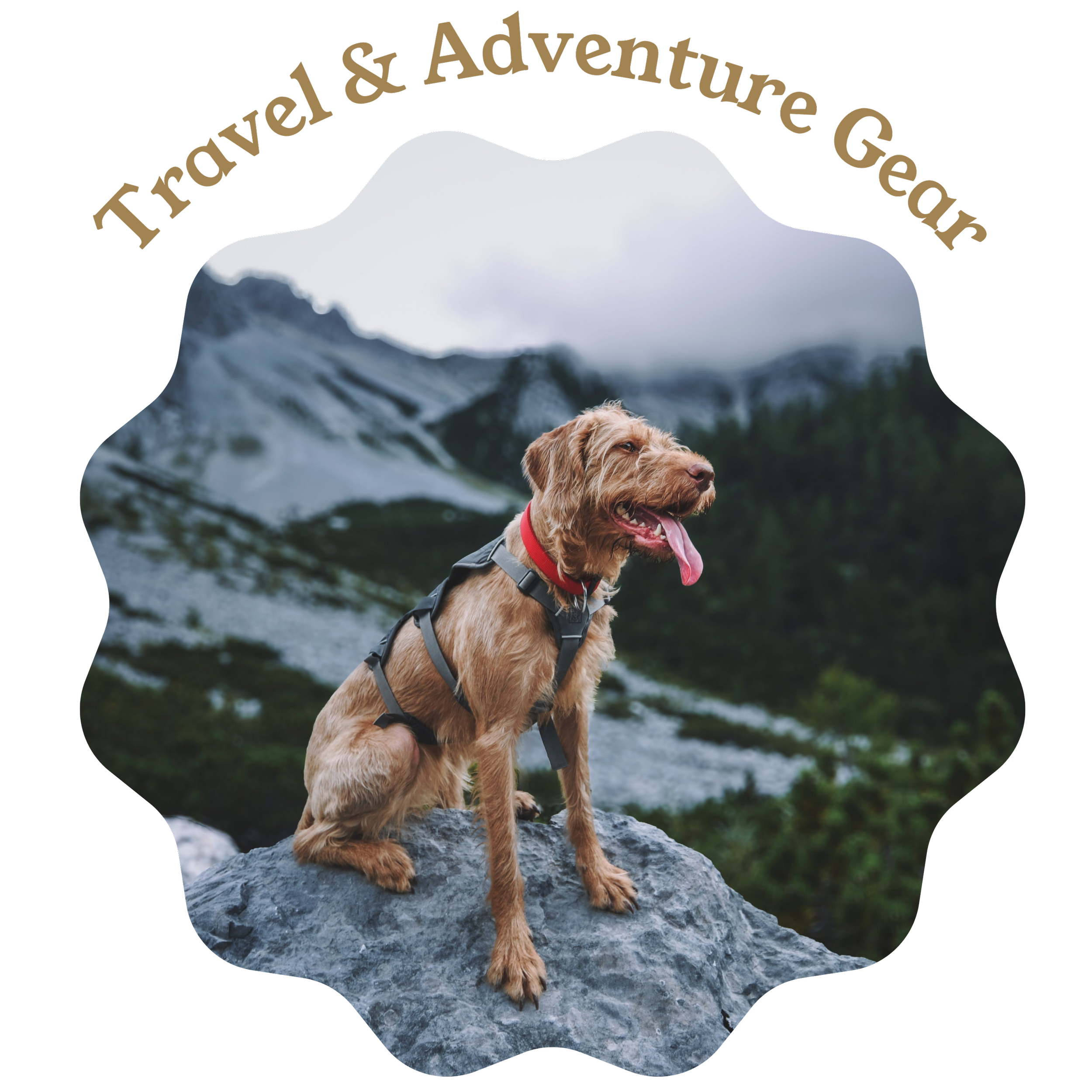 A golden retriever dog wearing a harness sitting on a rock with mountains and cloudy sky in the background, and the text 'Travel & Adventure Gear' arched above.