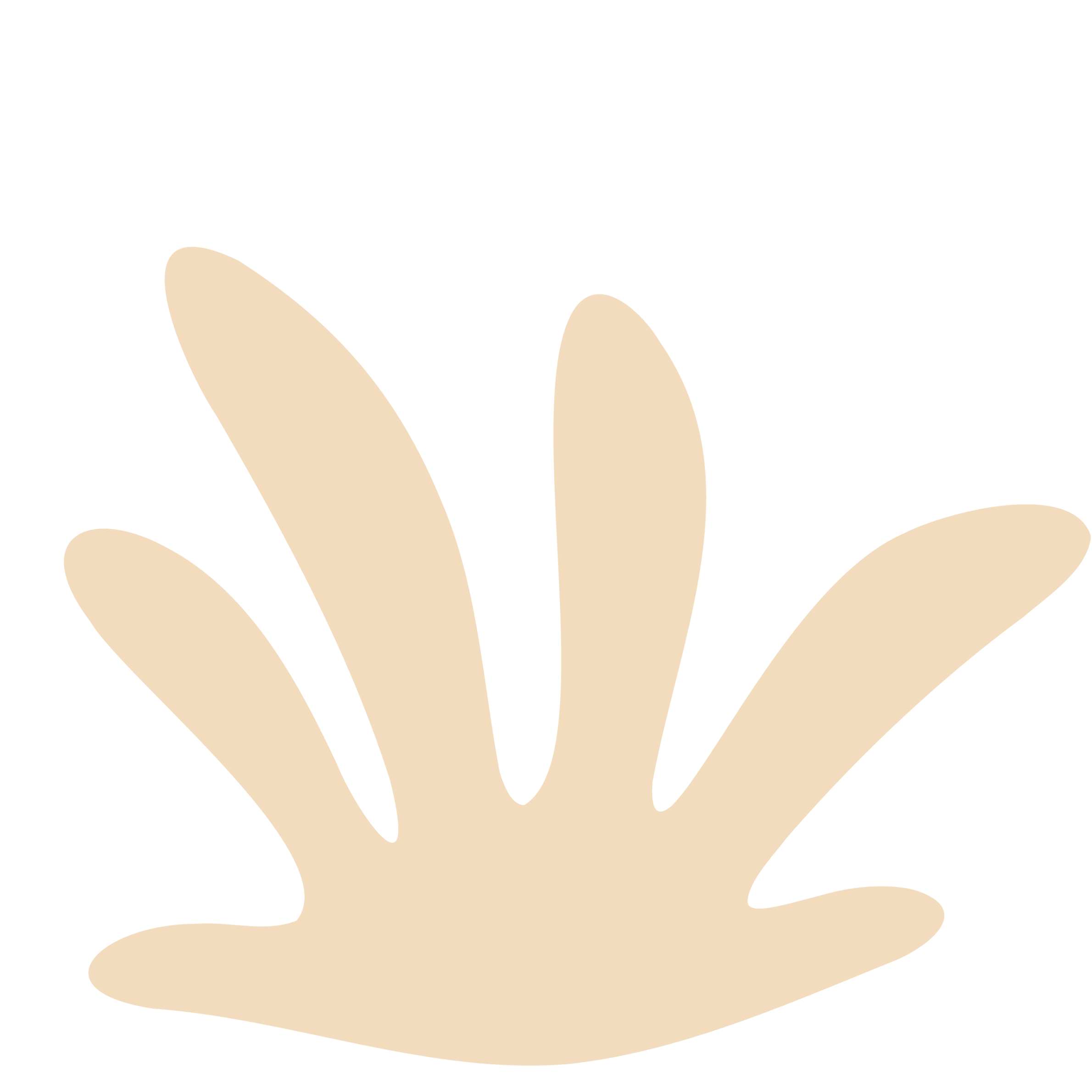 Abstract beige and black shapes resembling plant leaves on a transparent background.