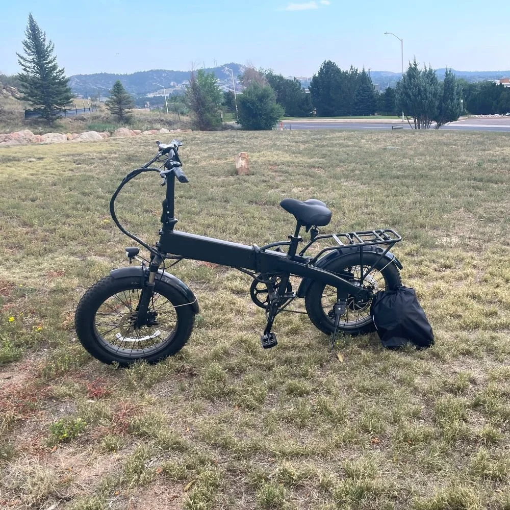 ebike2.jpg