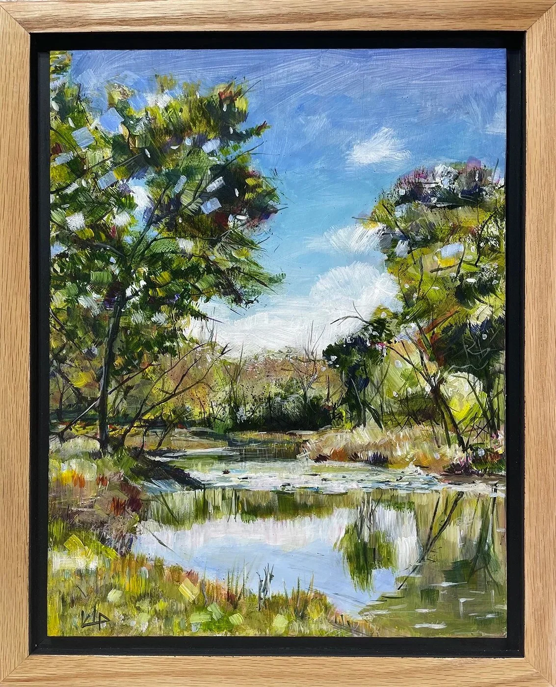 Salt Creek Shallows