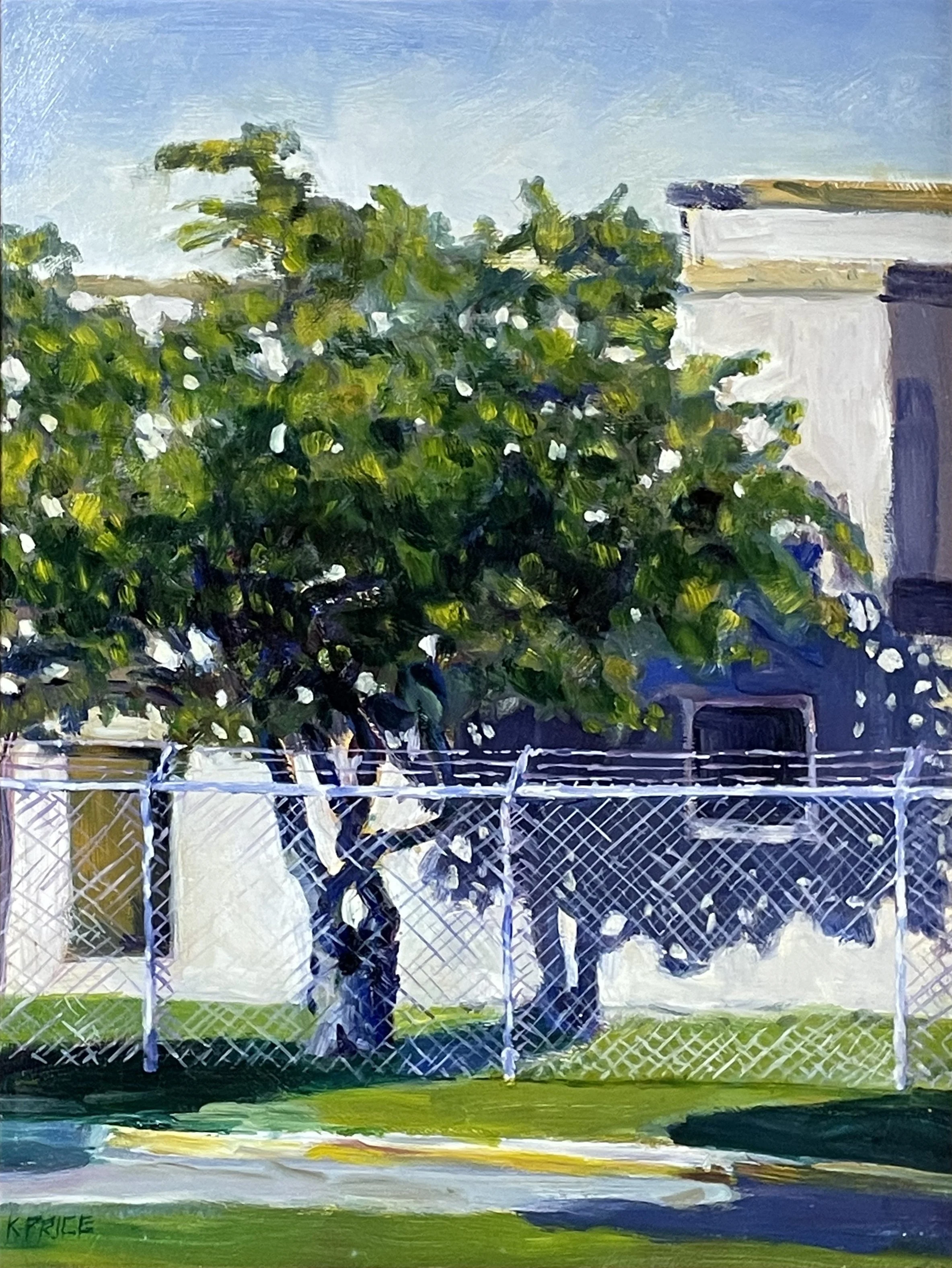 Fenced In