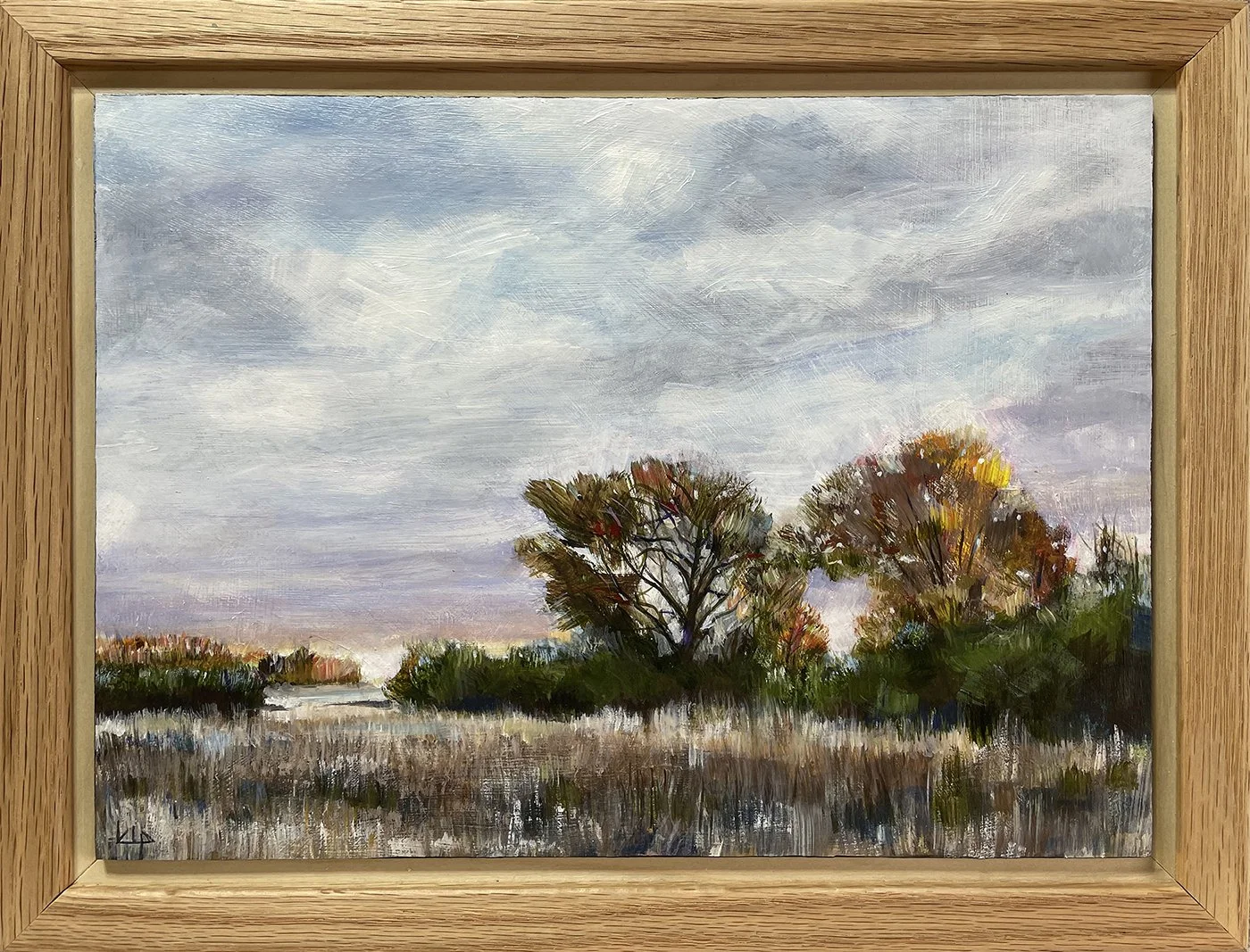 Across Miller Meadow