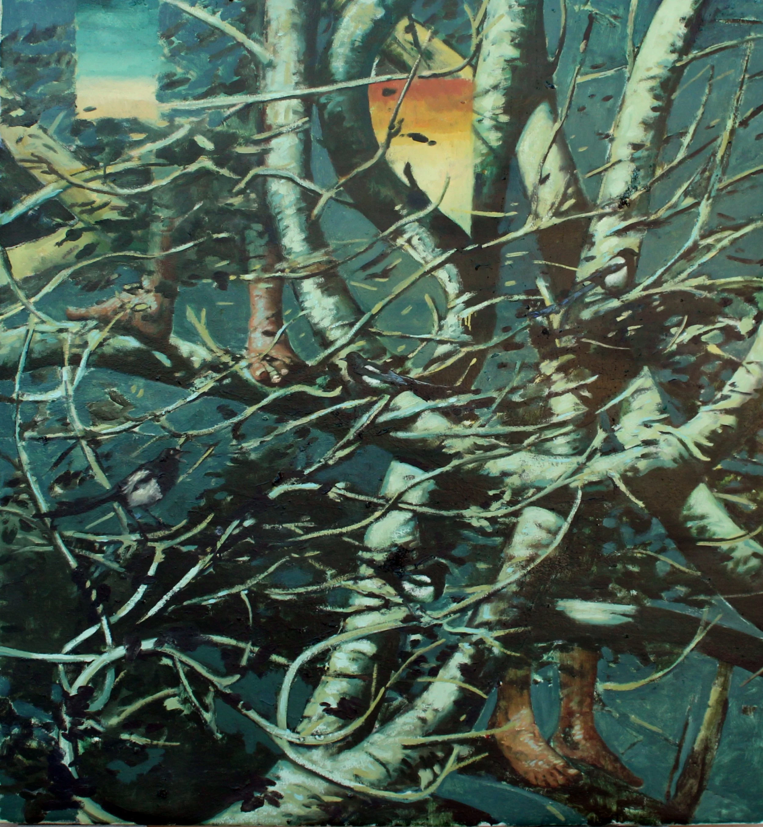 "Wind in the Trees"
Oil on Canvas
45 x 49 x 2