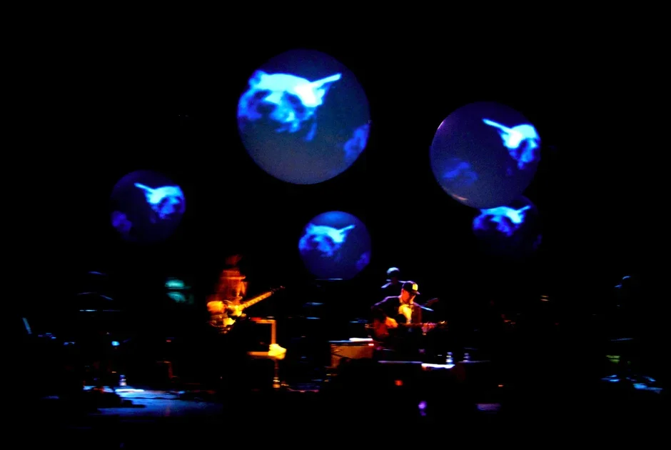 lambchop-final+-+5.webp